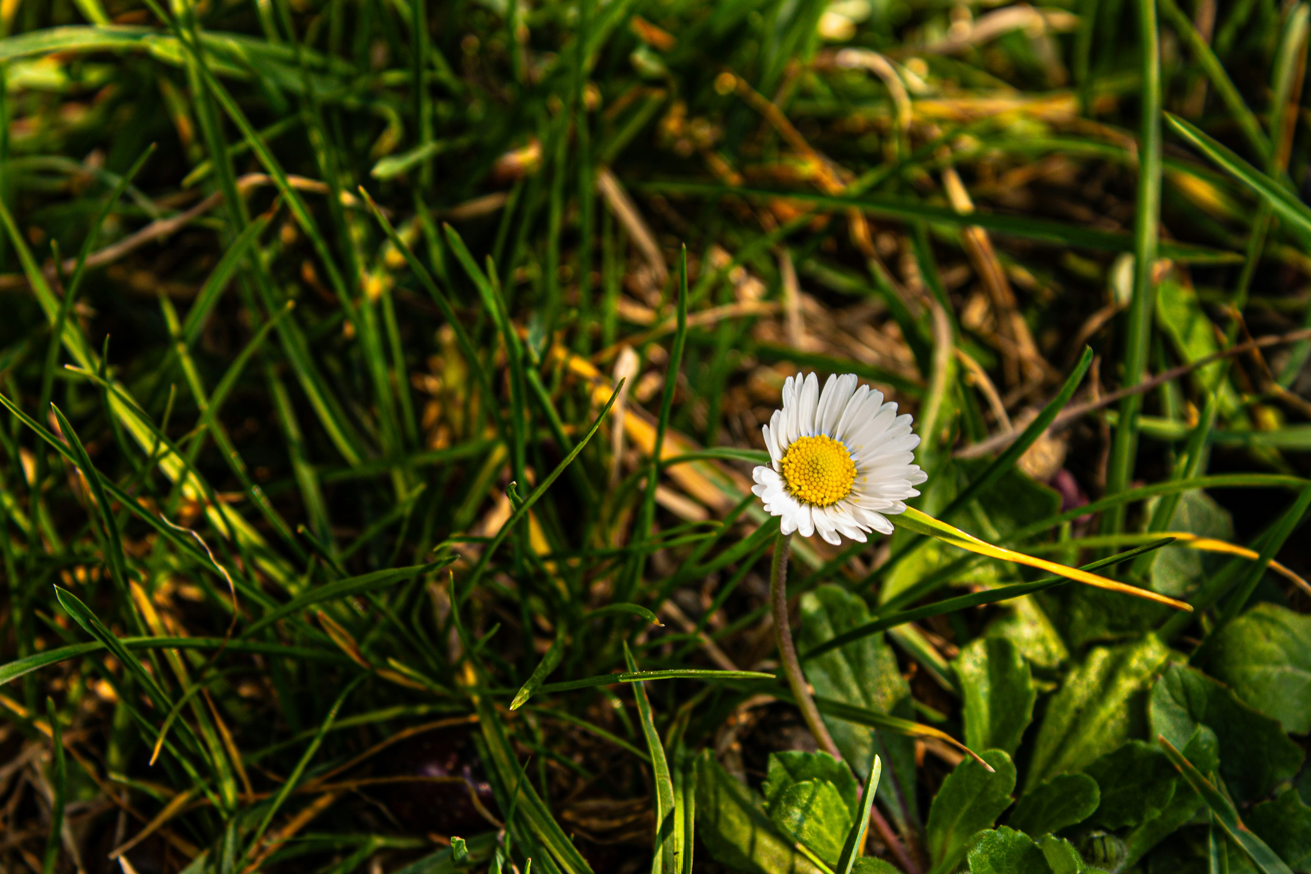 Photo by 3starsgraphics