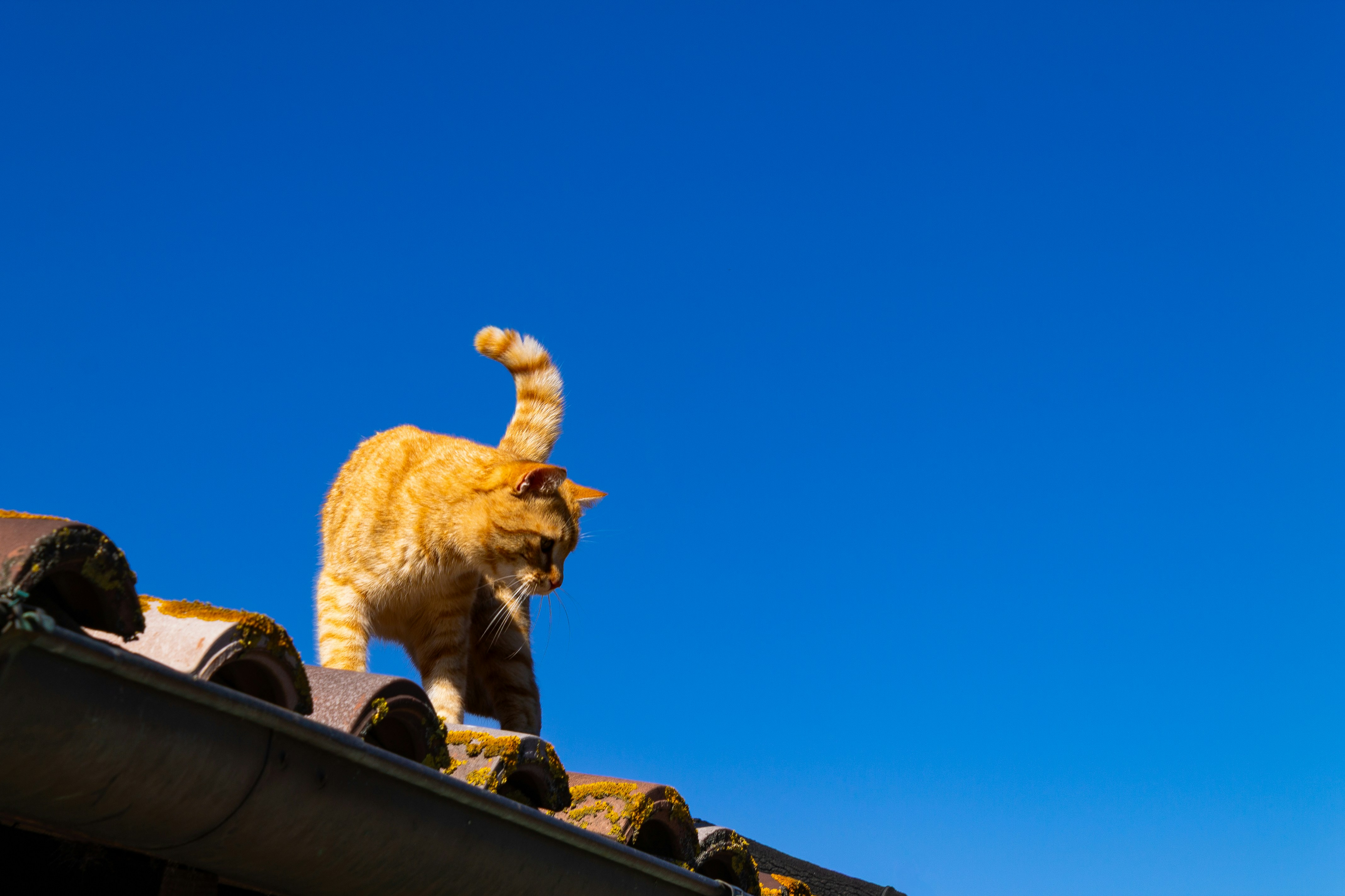 Photo by 3starsgraphics