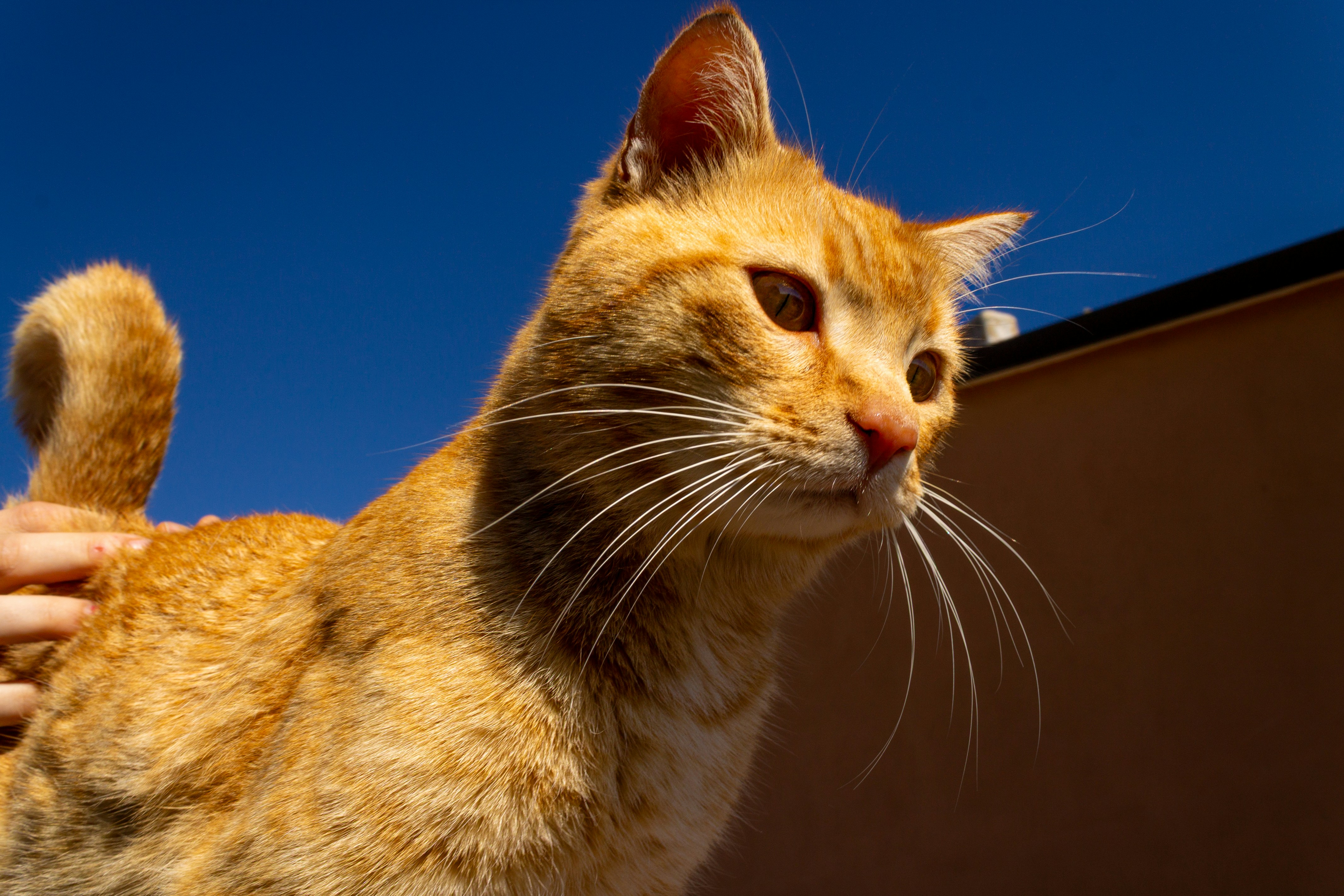 Photo by 3starsgraphics