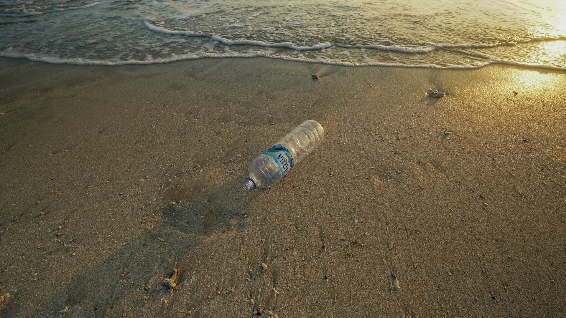 Plastic bottle washes up on a sandy beach.