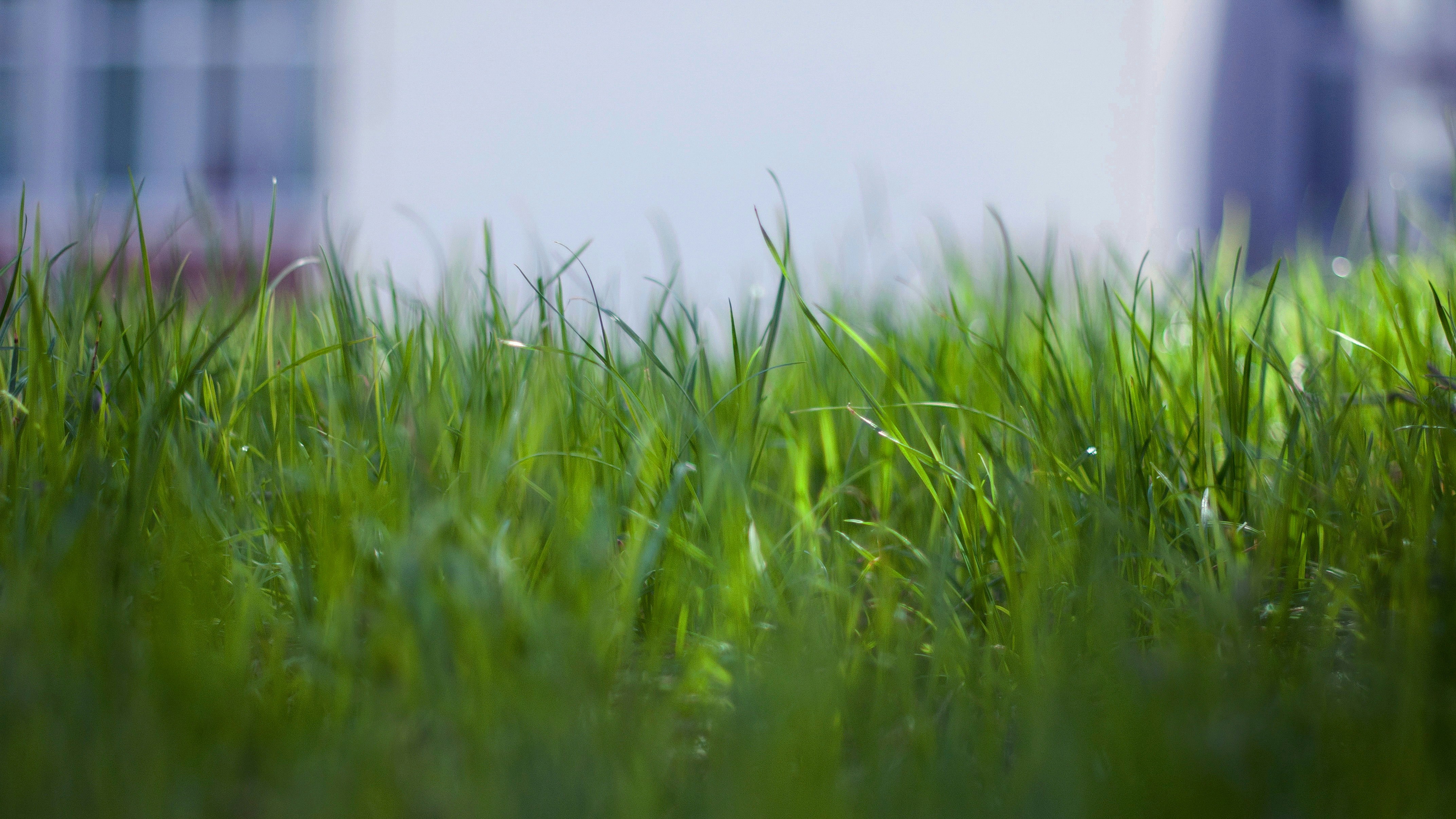 Photo sprinkler system installation