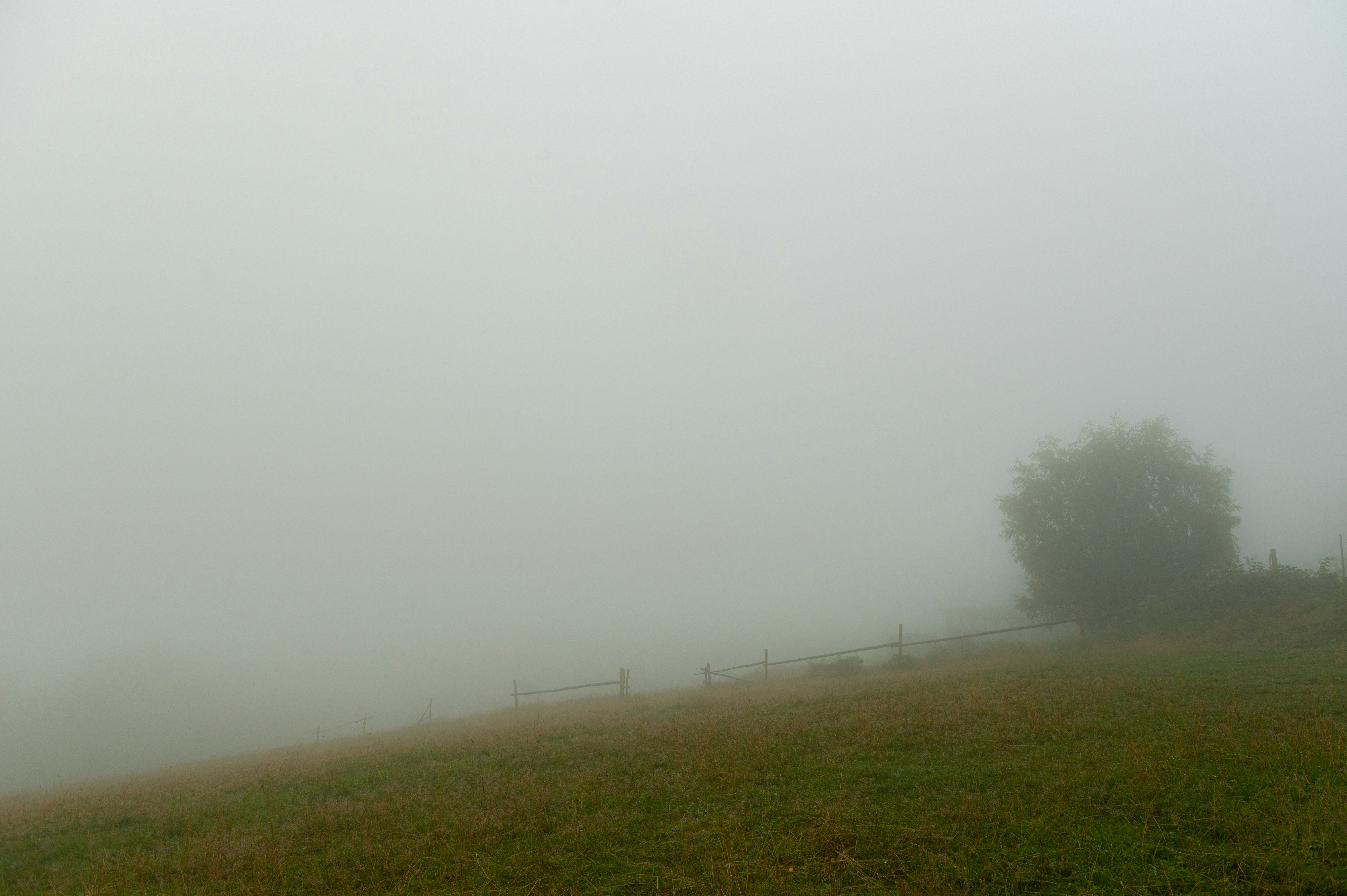 Photo by alexandra_p_d