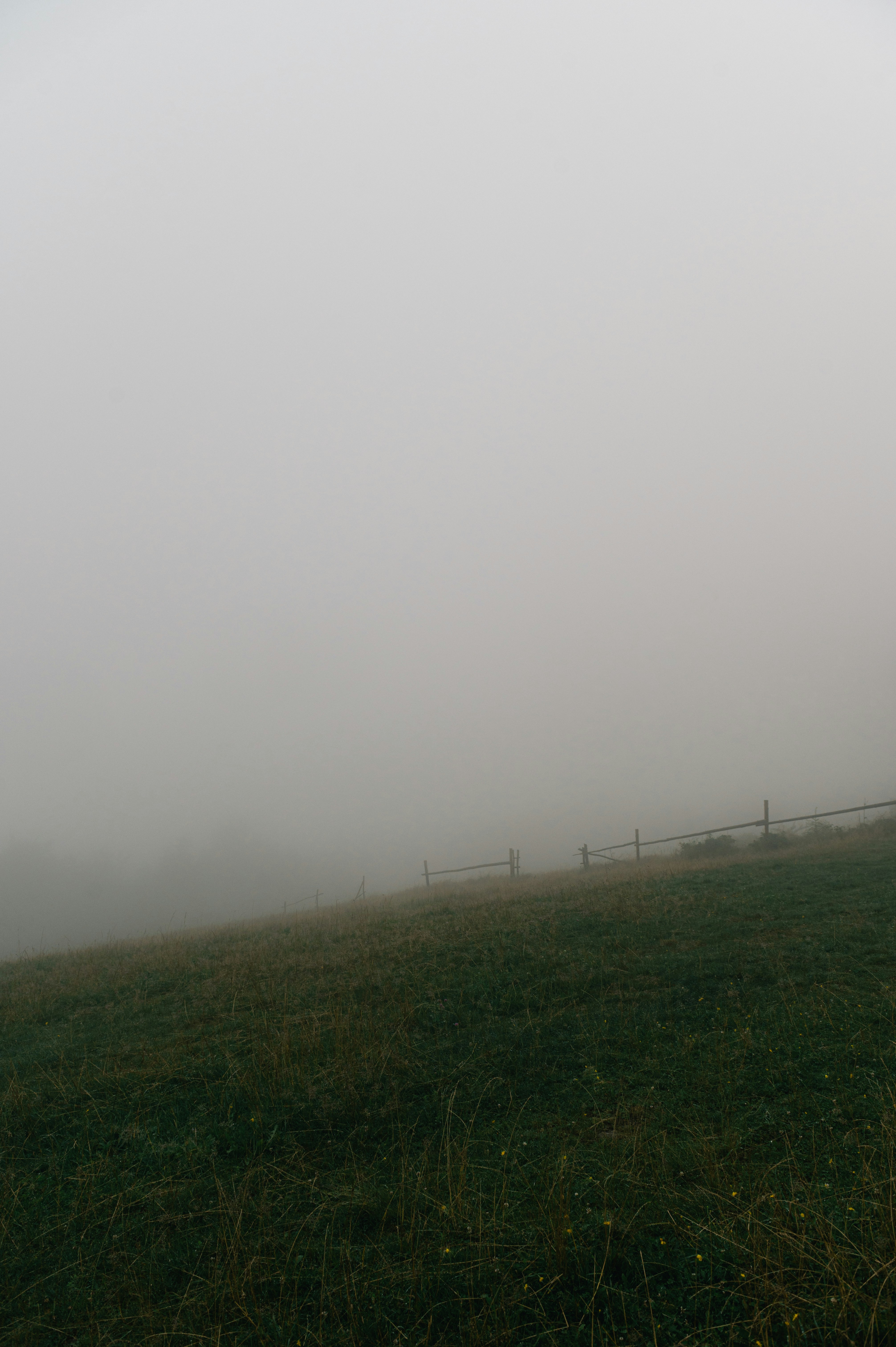 Photo by alexandra_p_d