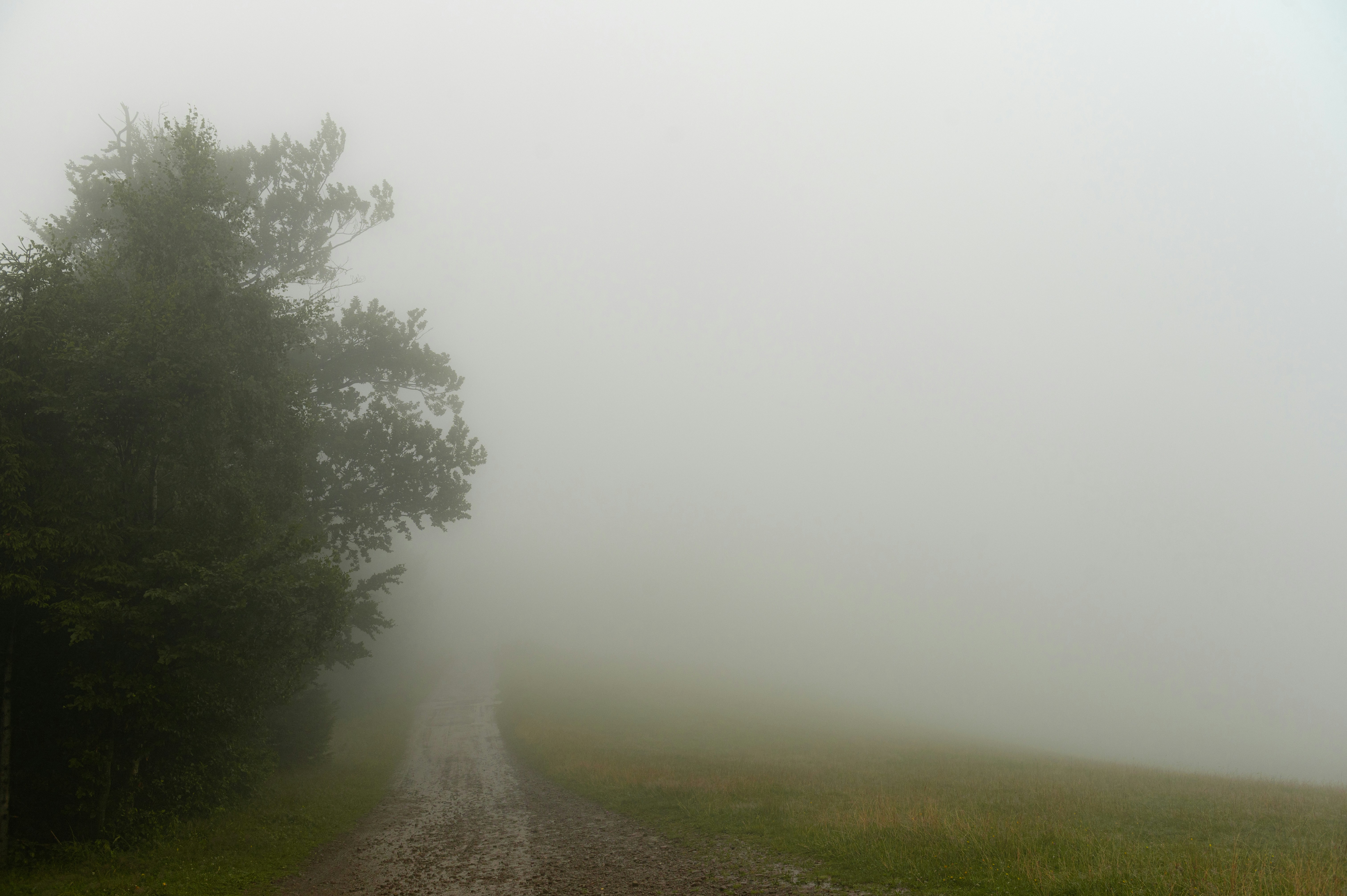 Photo by alexandra_p_d