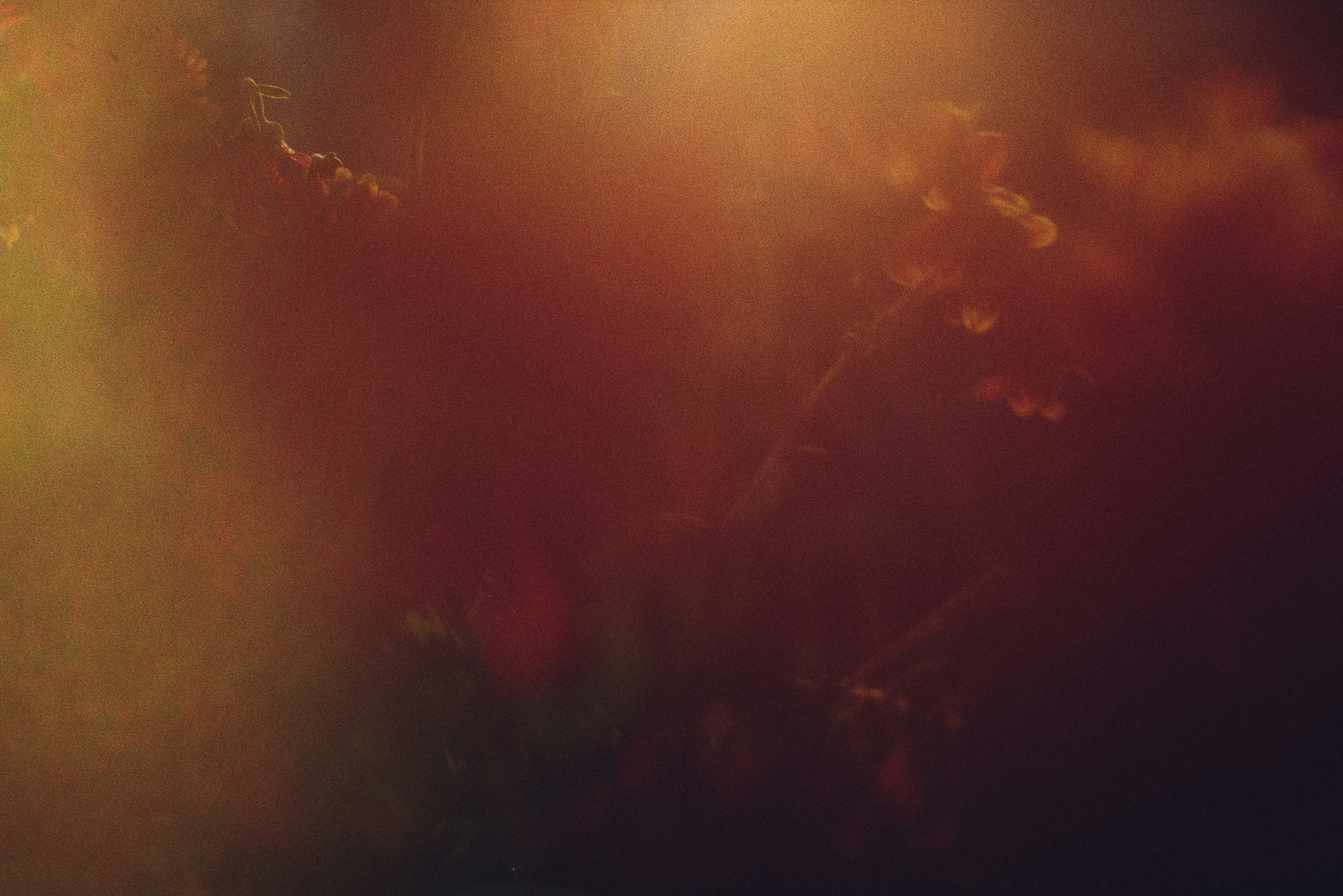 Photo by cherstve_pechivo