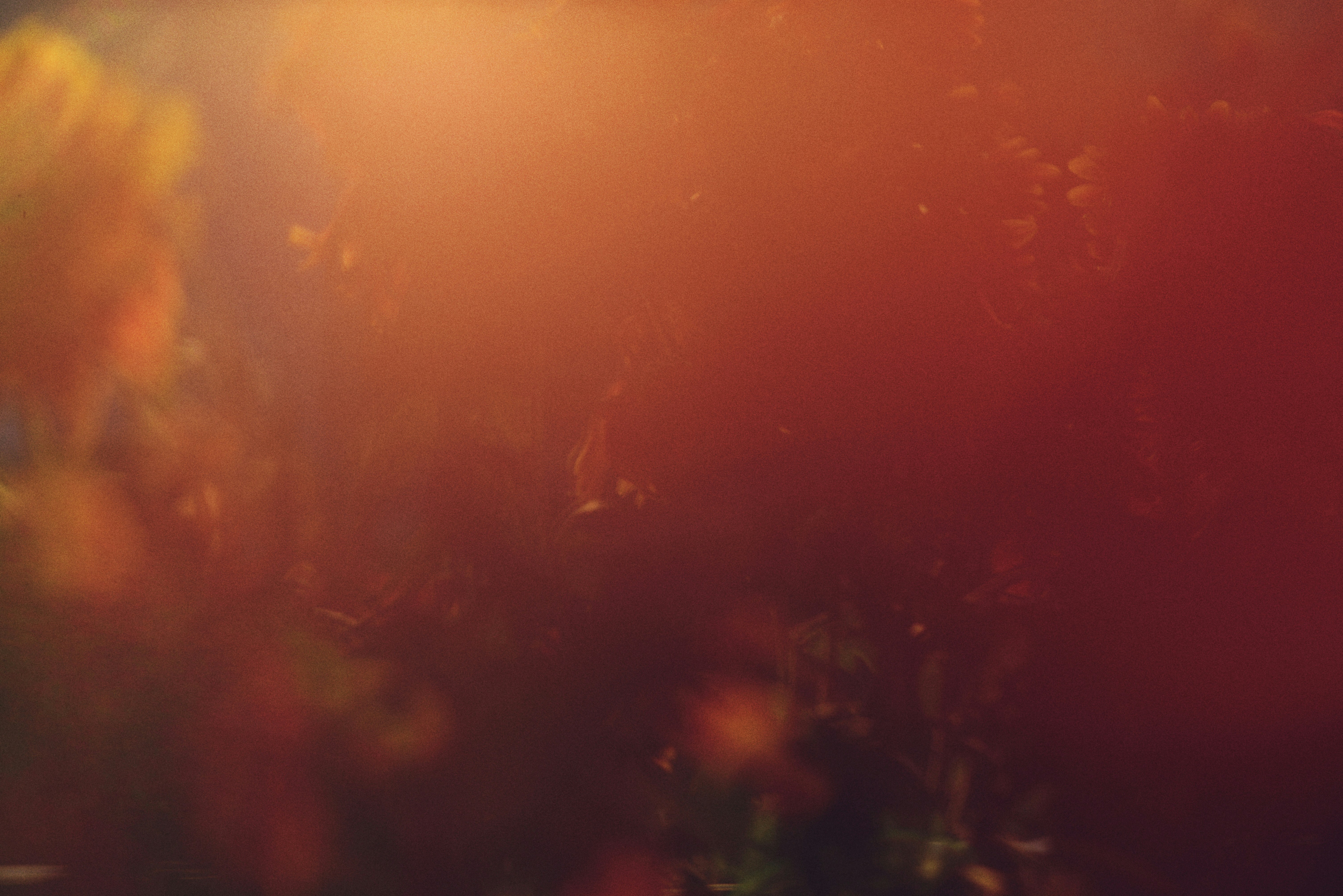 Photo by cherstve_pechivo