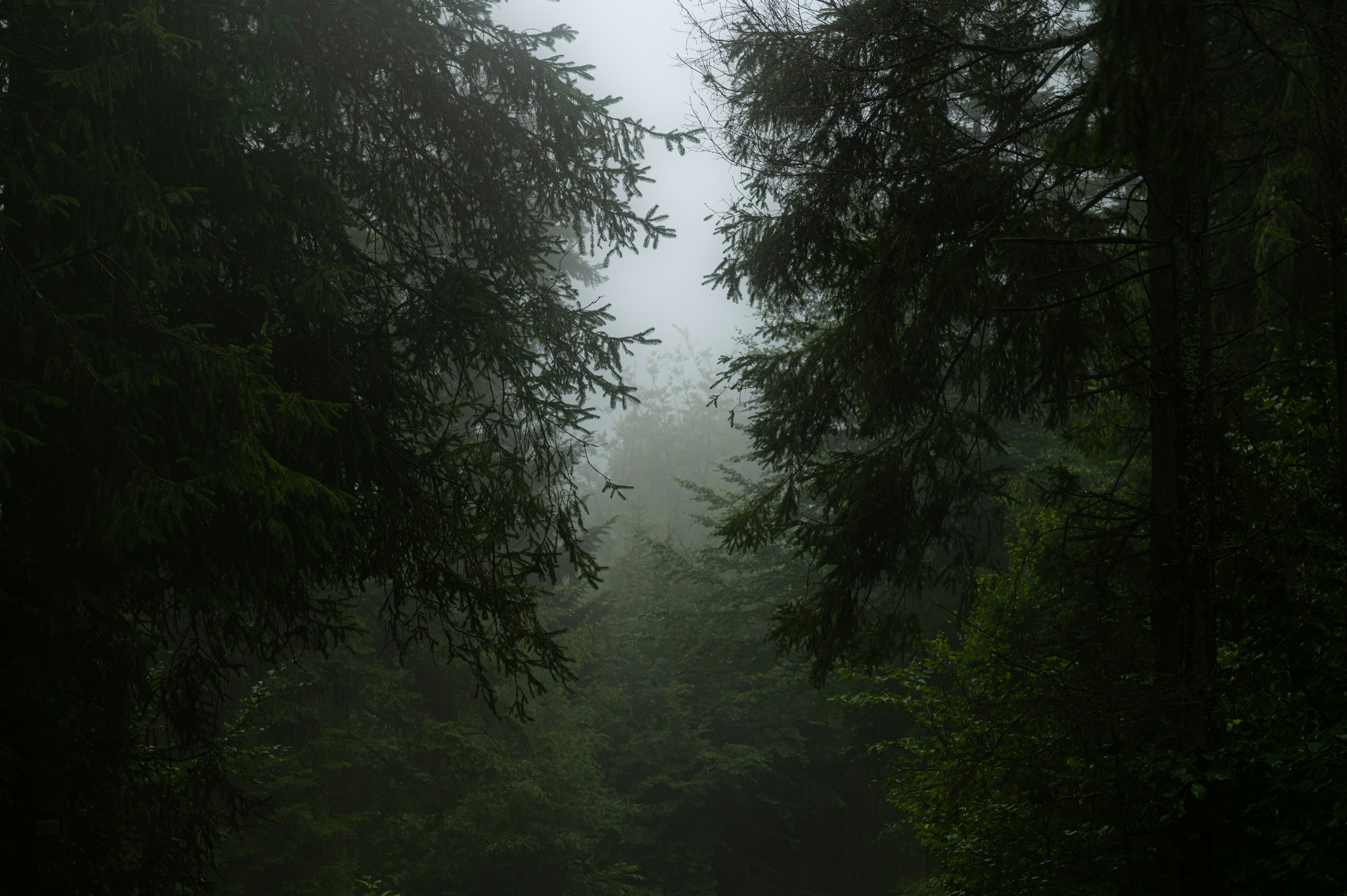 Photo by alexandra_p_d