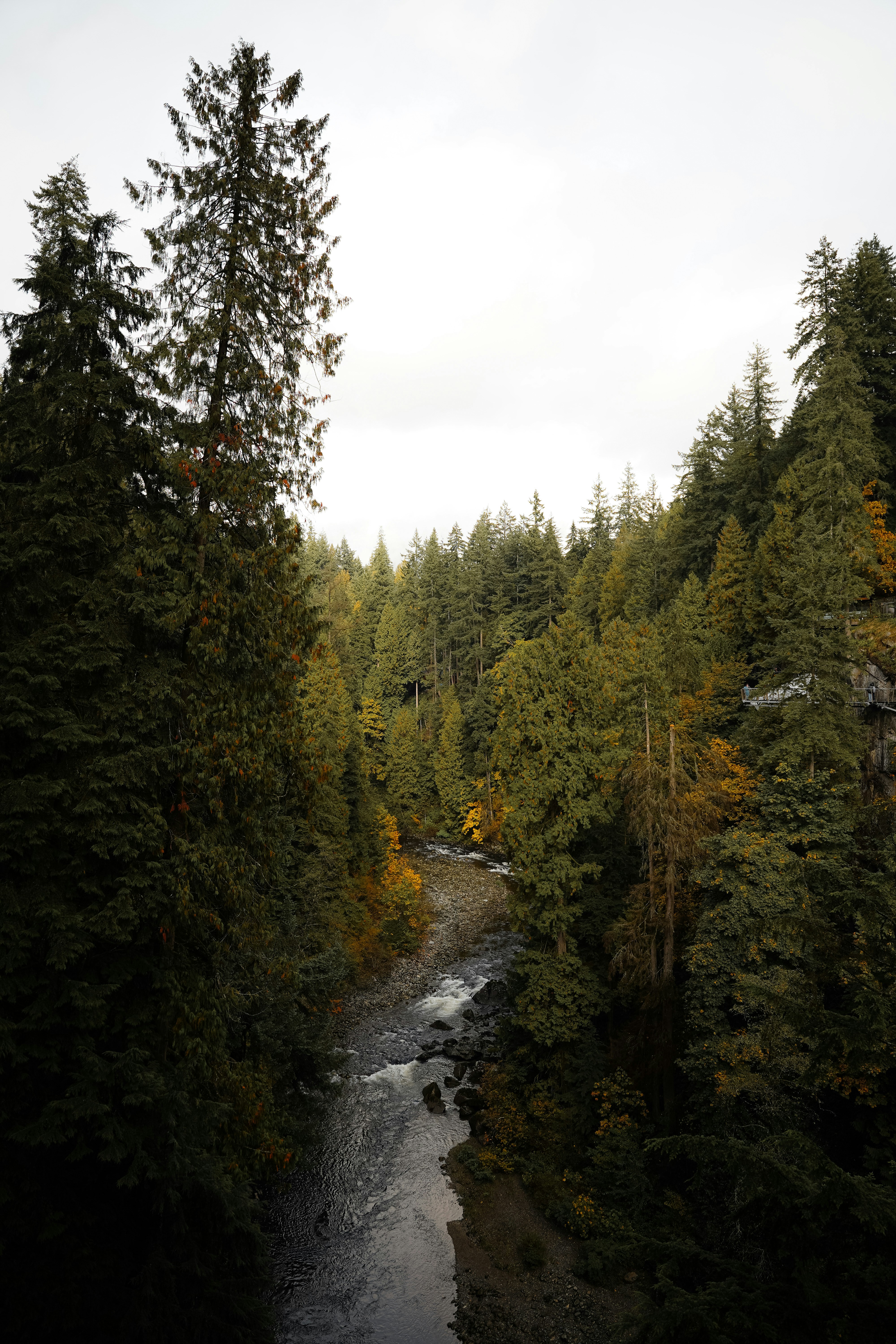 Photo by helder_avila