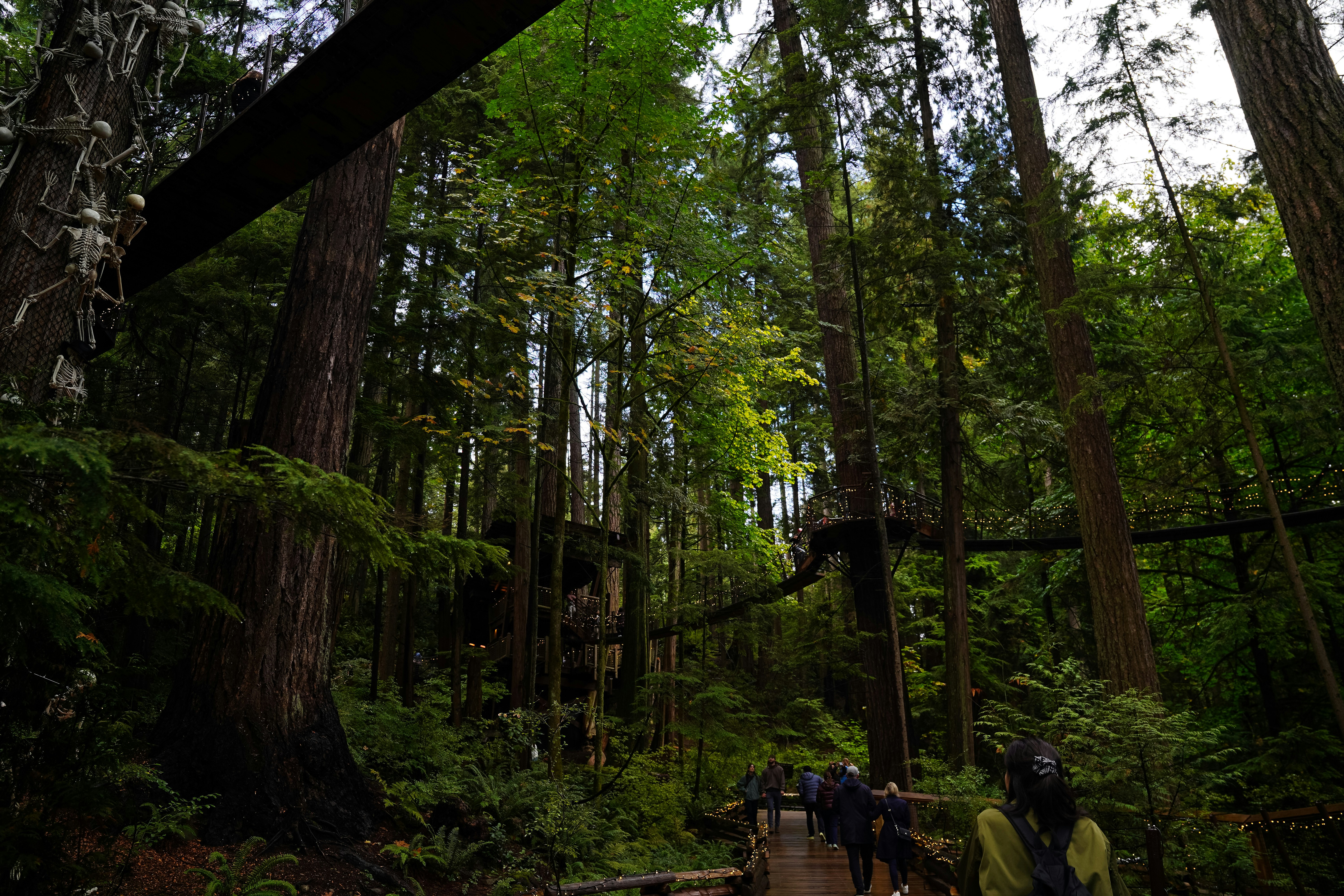 Photo by helder_avila