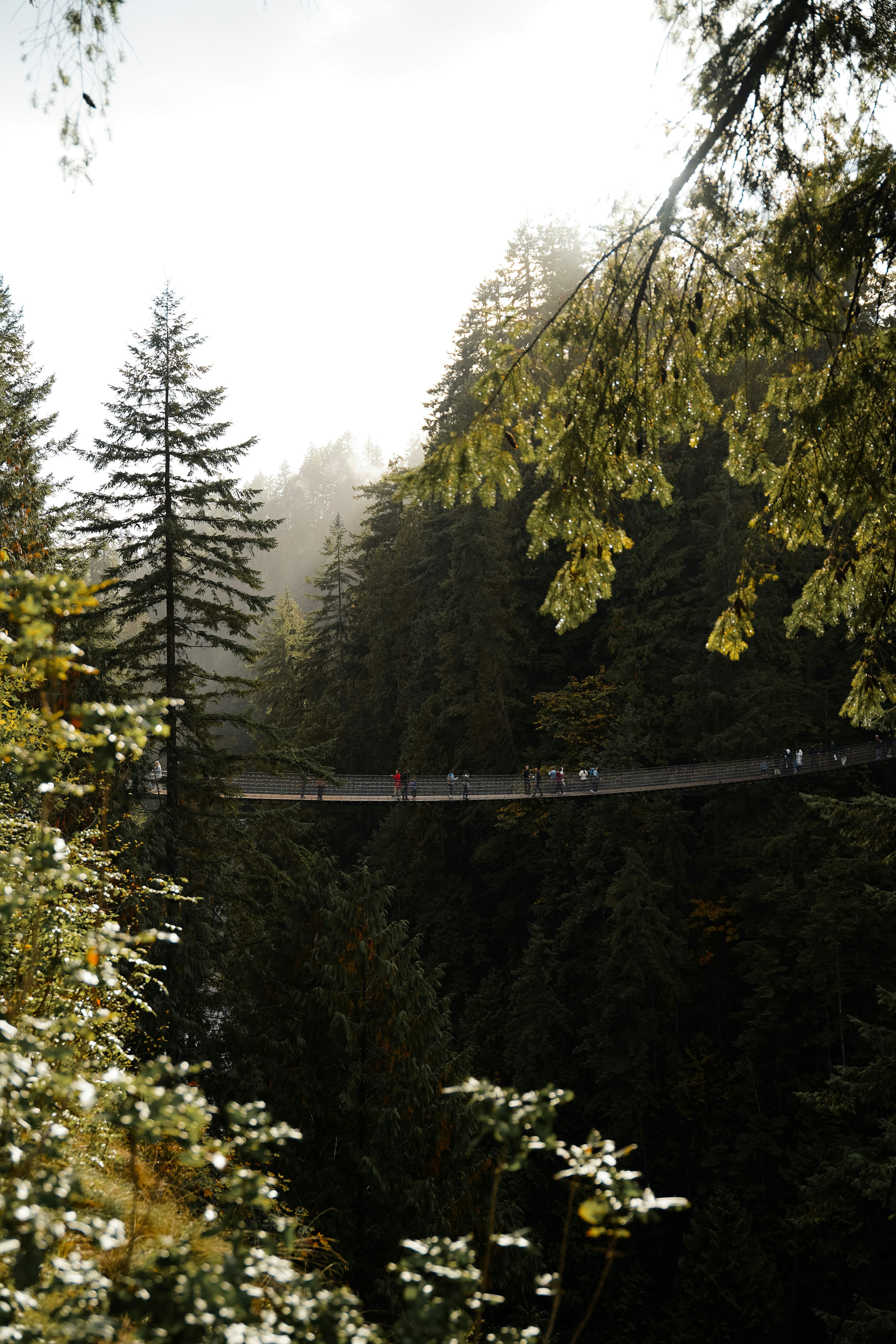 创造自己 & 输出秩序