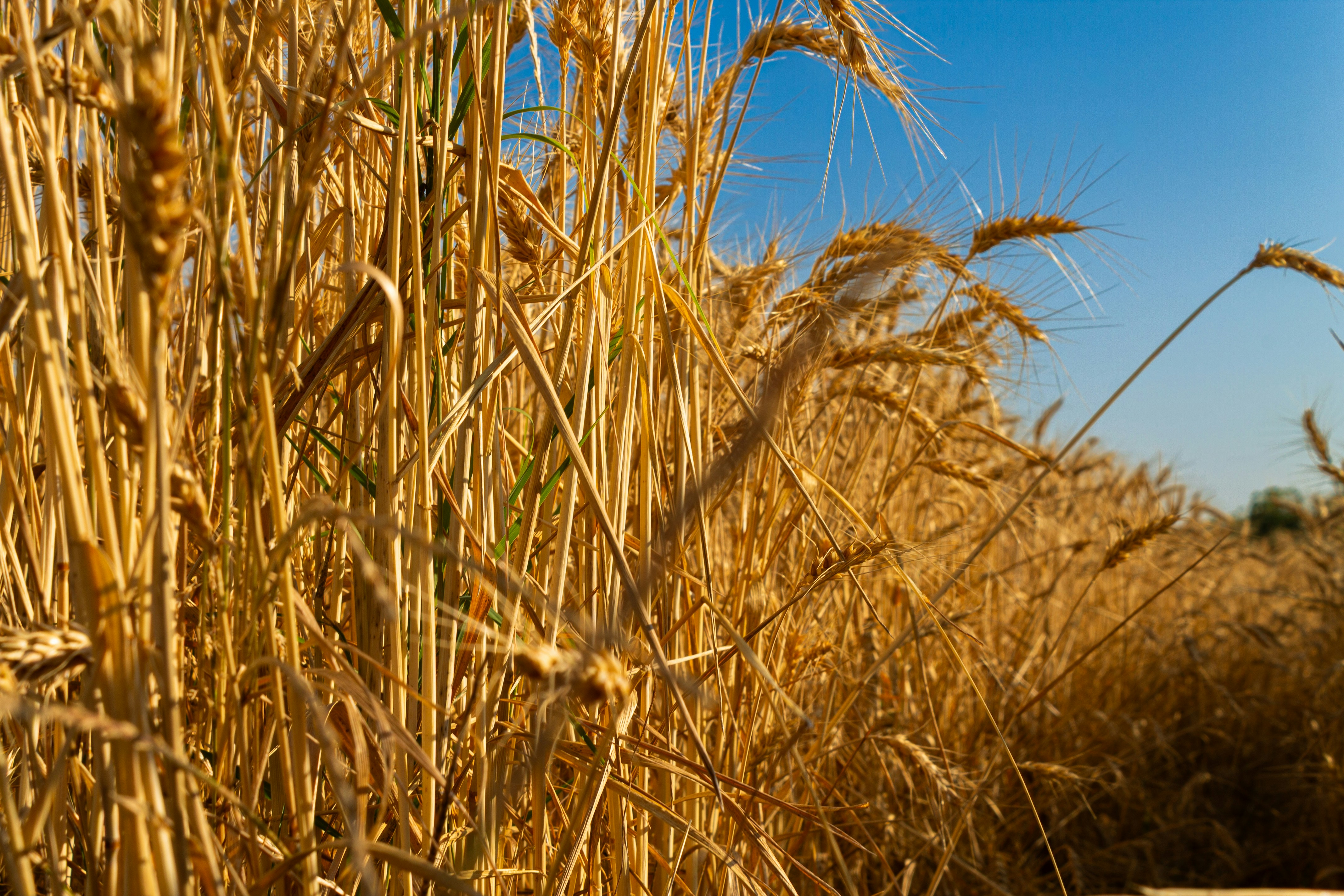 Photo by 3starsgraphics