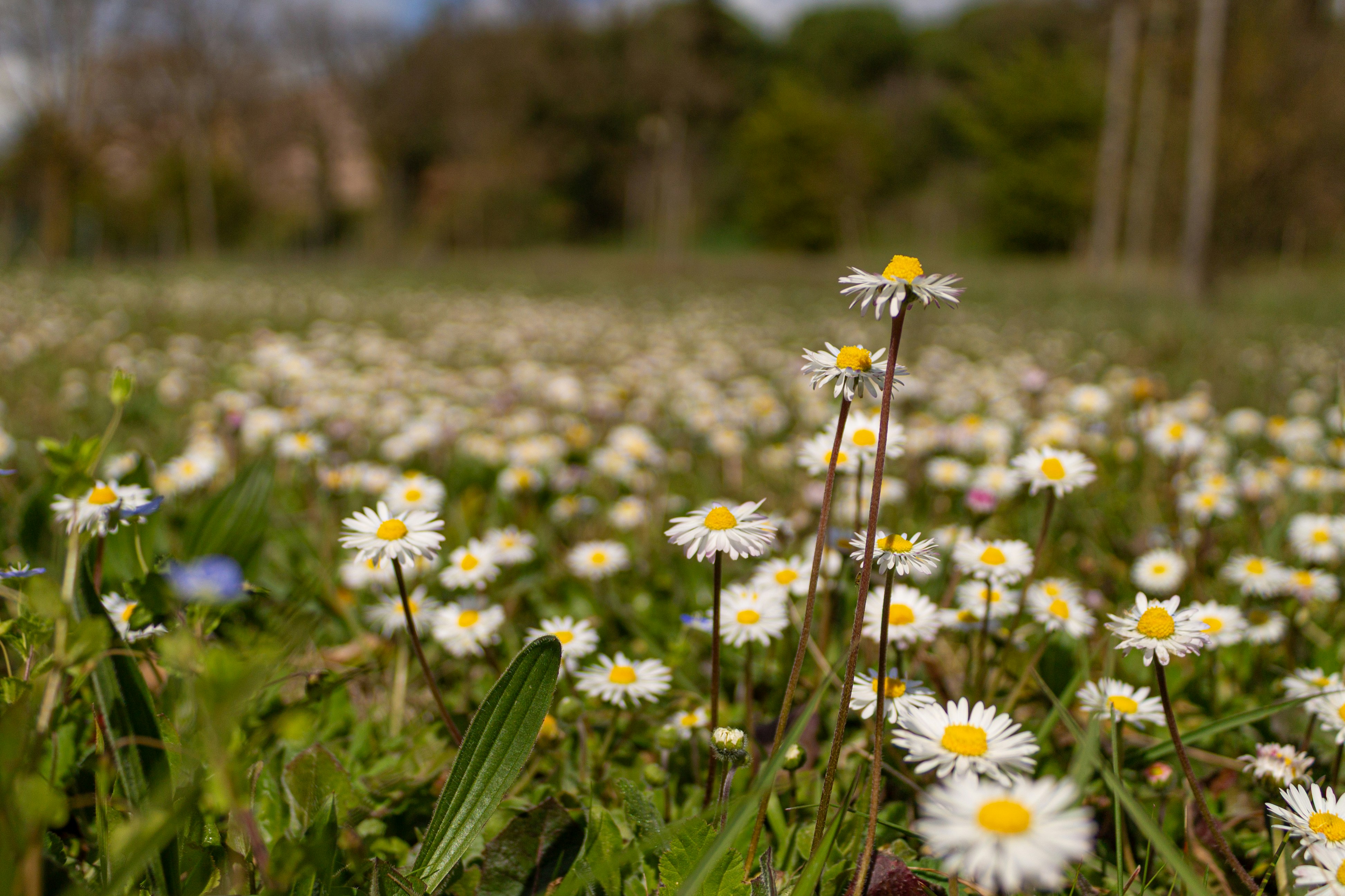 Photo by 3starsgraphics