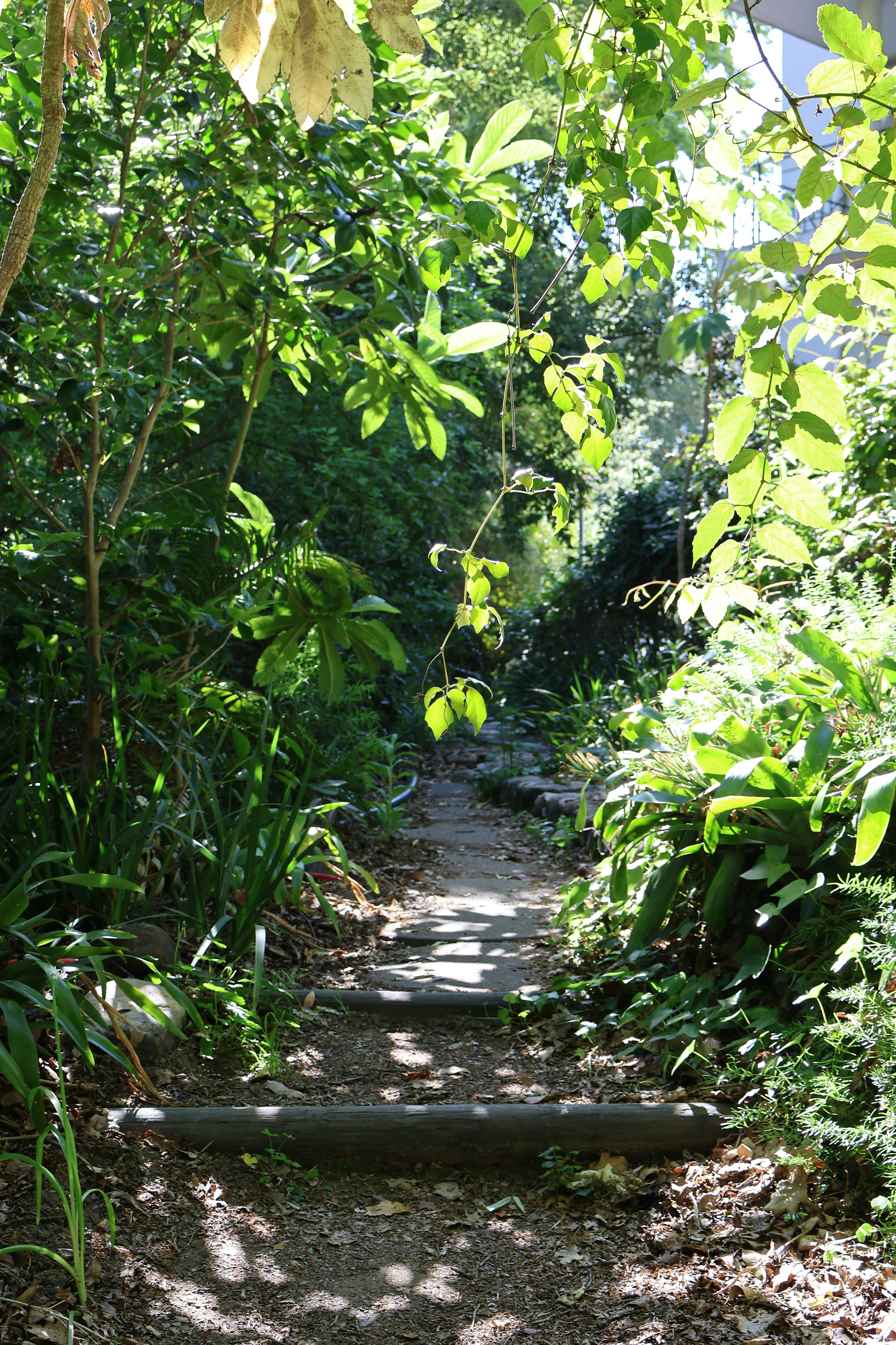 Photo by rohanchhipa