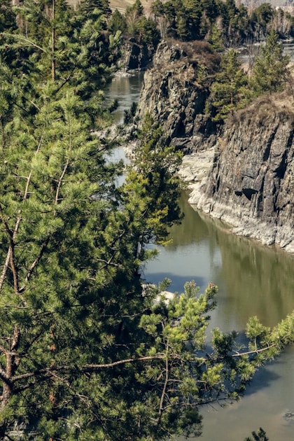 Remote river cutting through a rocky canyon with pine-covered banks — classic float-hunt country