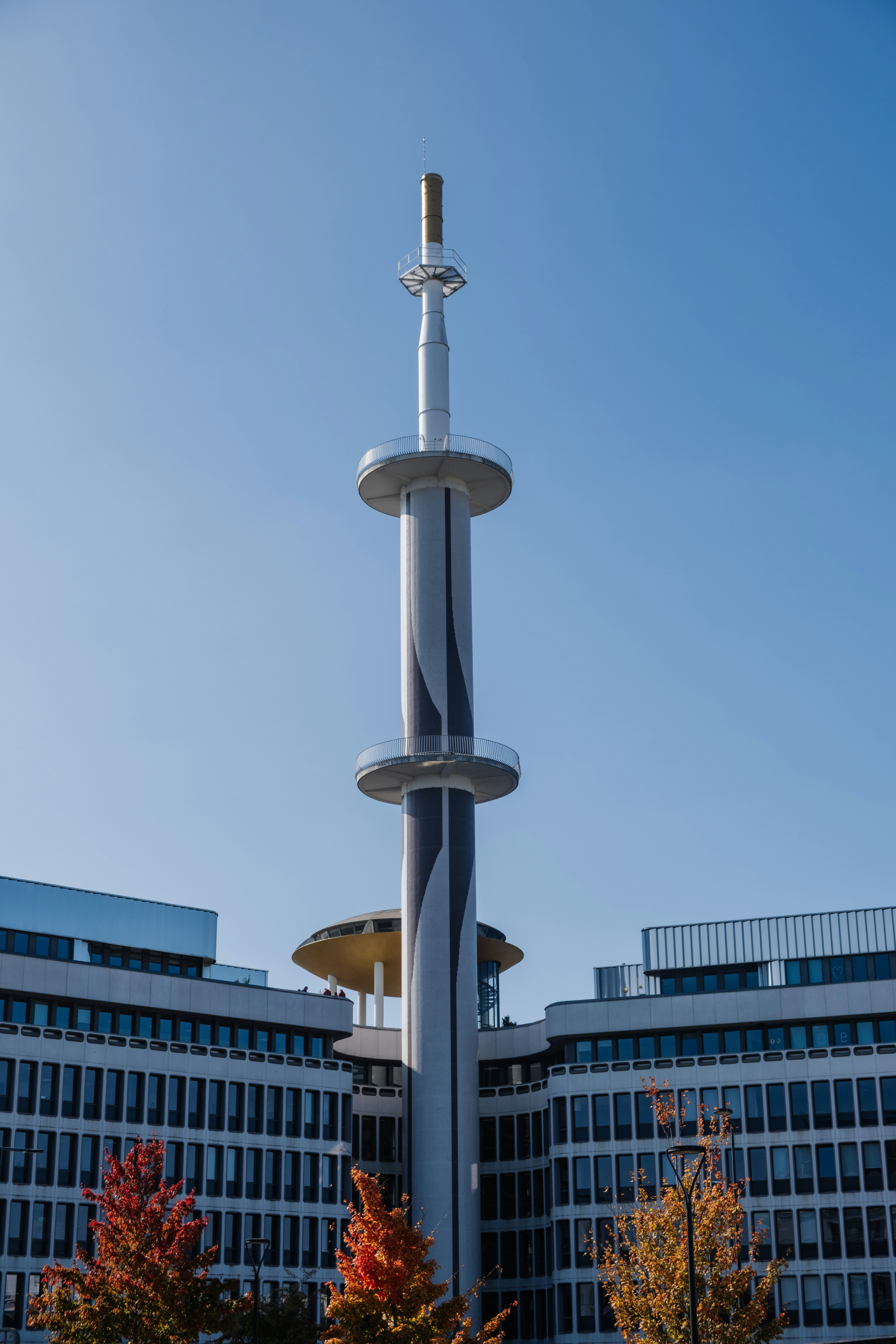 Photo by noelinedshots