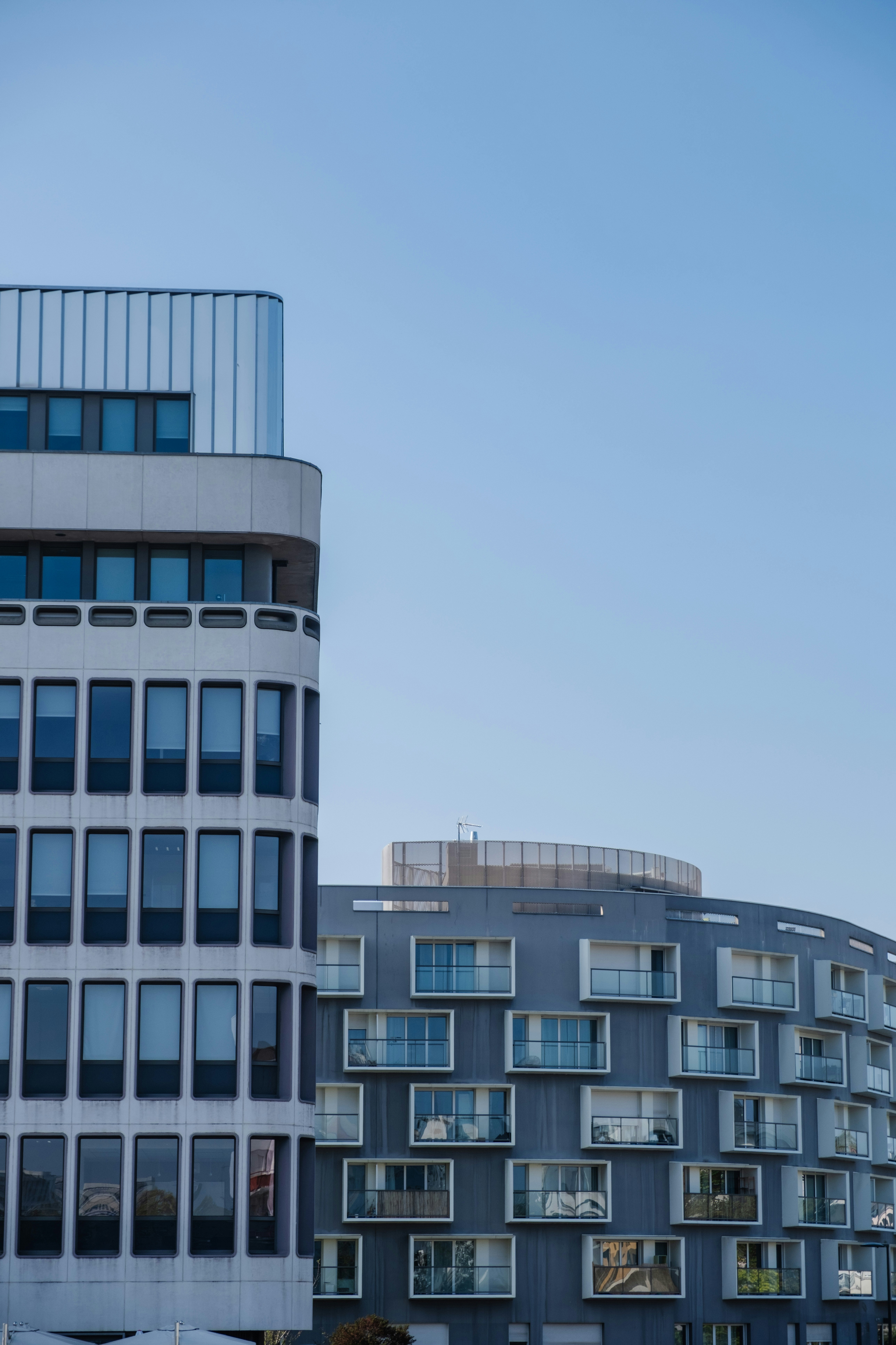 Photo by noelinedshots