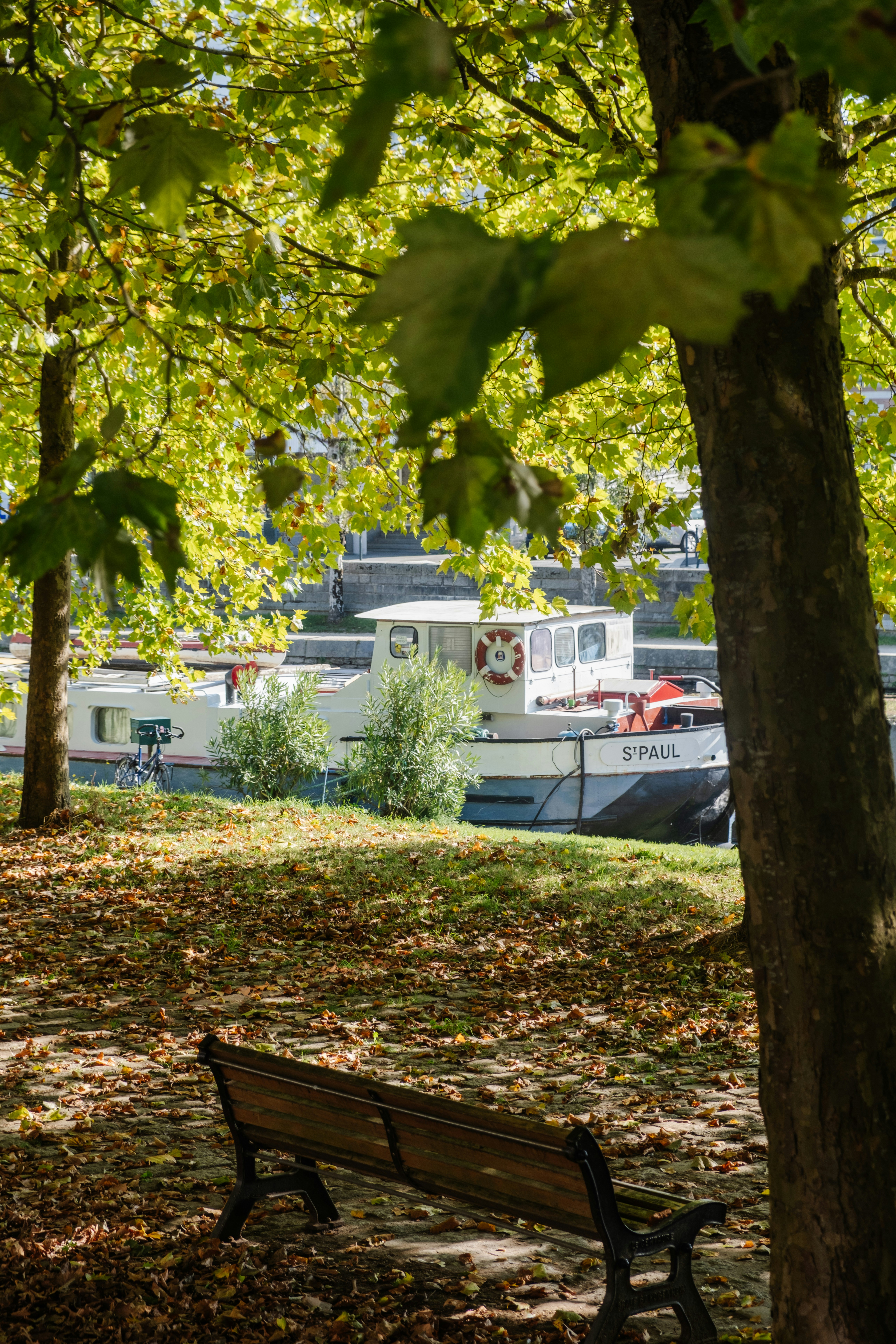 Photo by noelinedshots