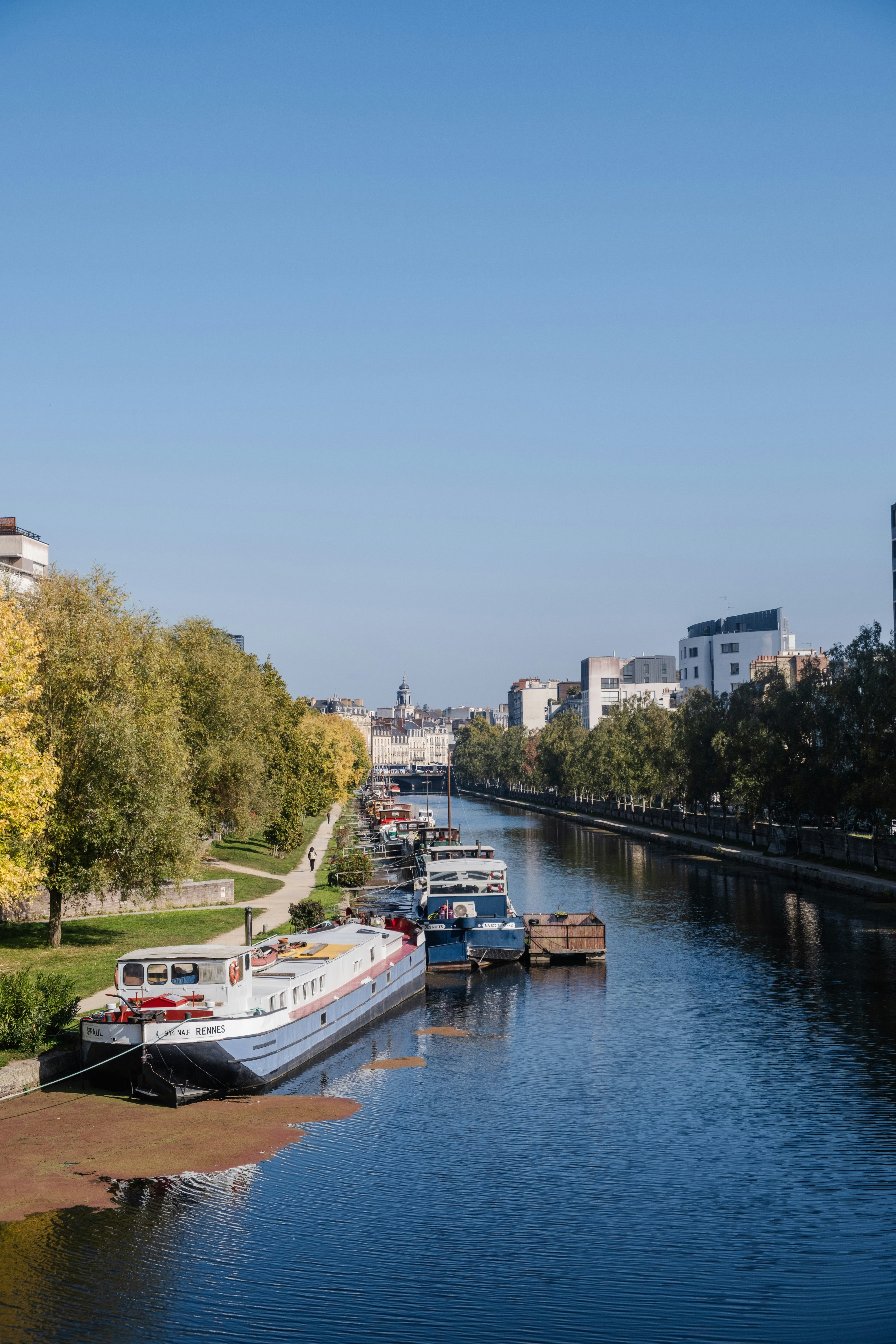 Photo by noelinedshots