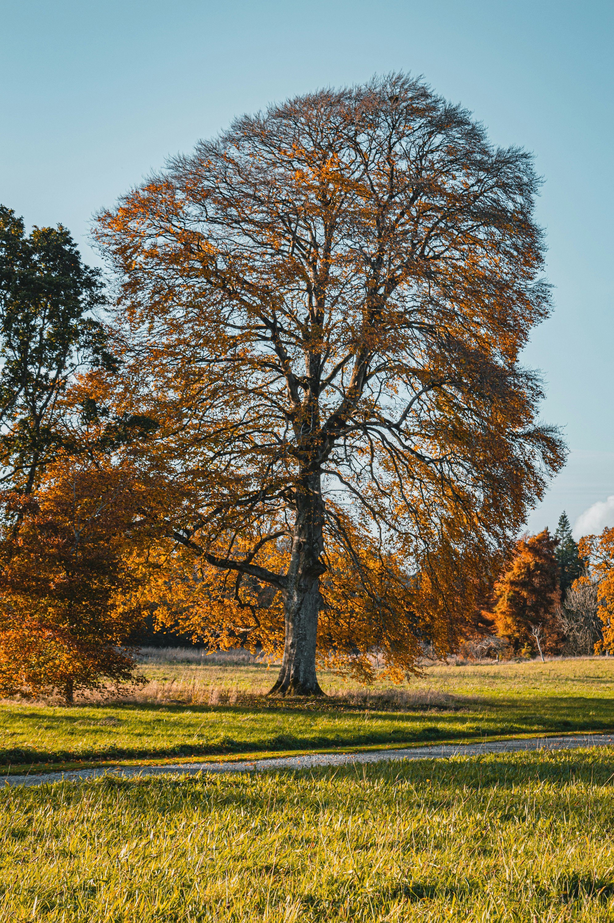 Photo by itsaroadmap