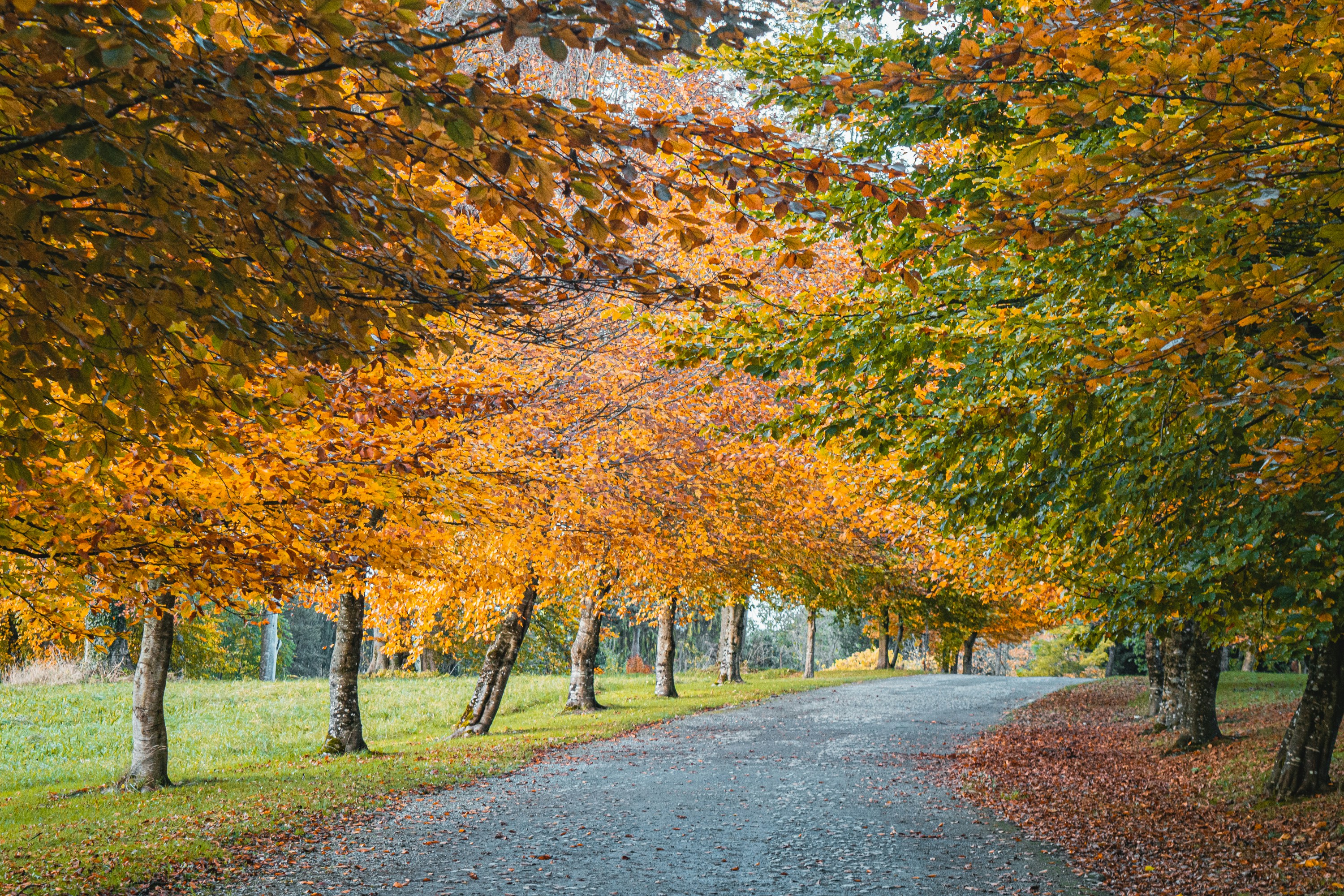 Photo by itsaroadmap