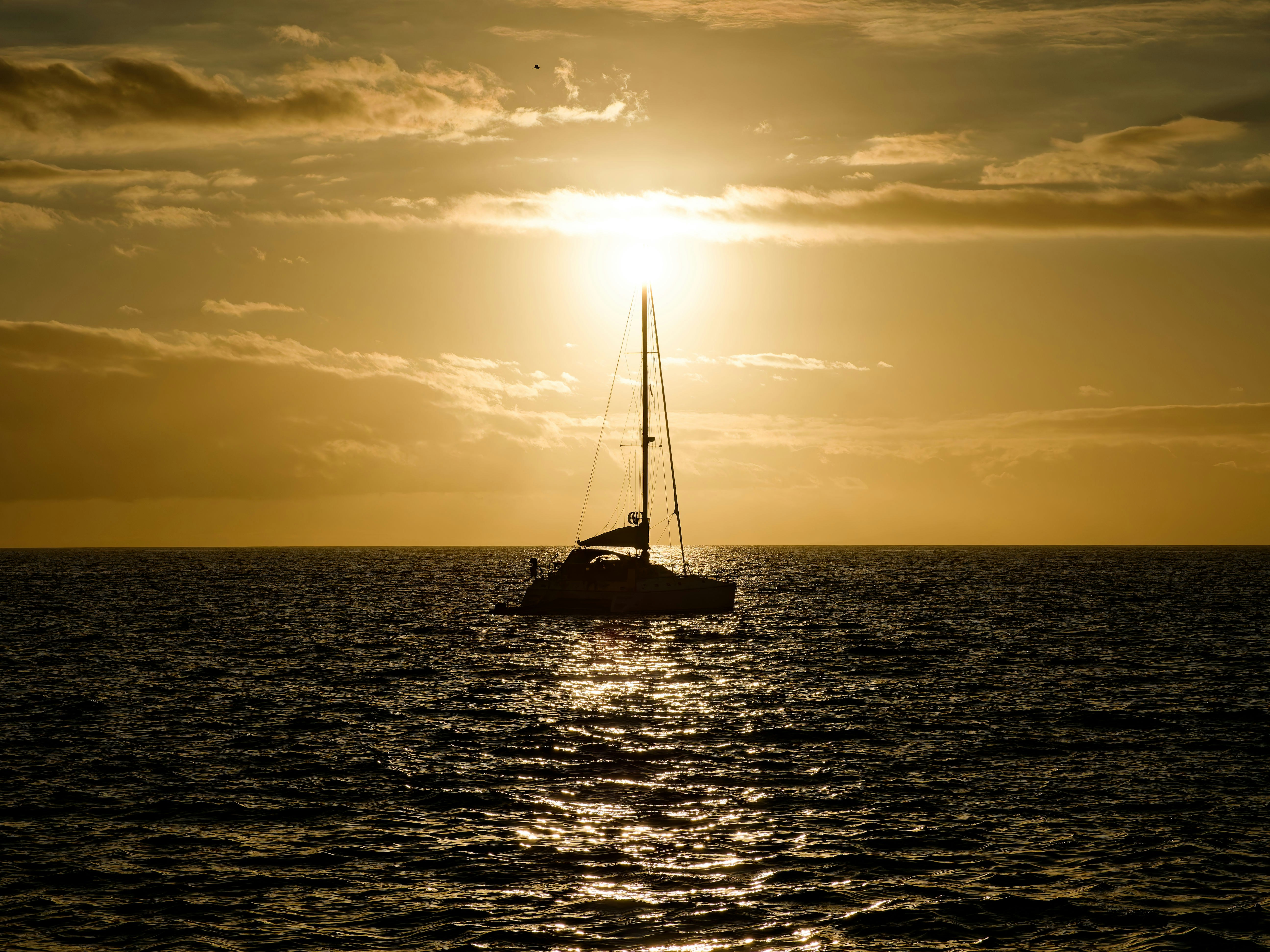 Photo by illes_cristi