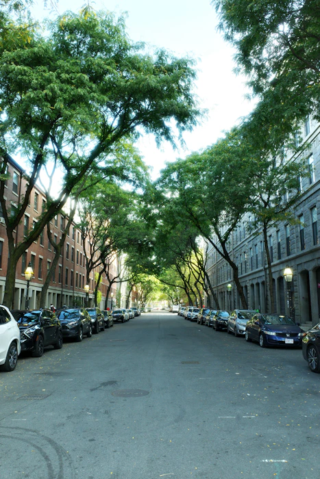 Tree-lined residential street in Greater Boston