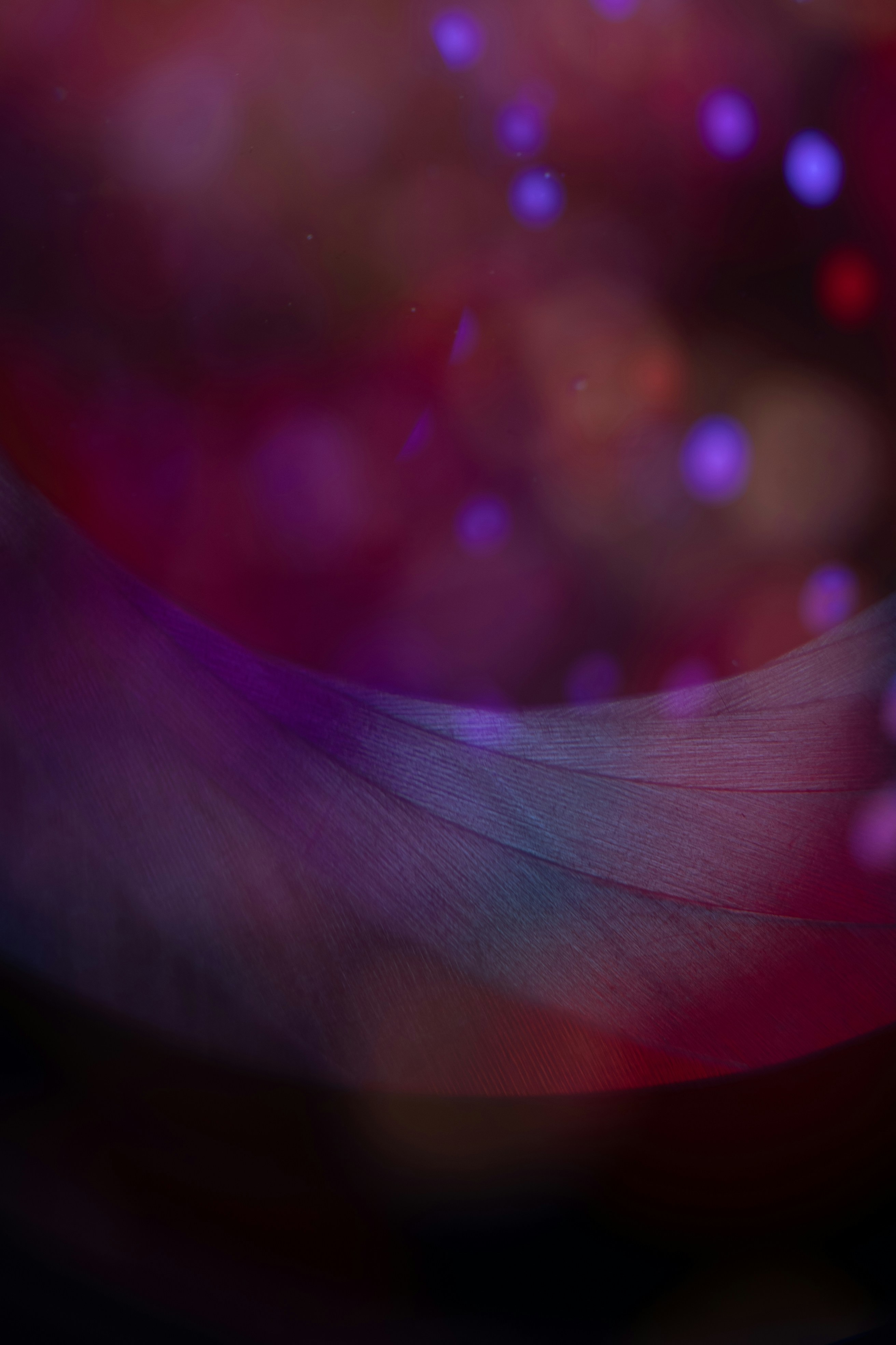 Photo by andrilliardbond