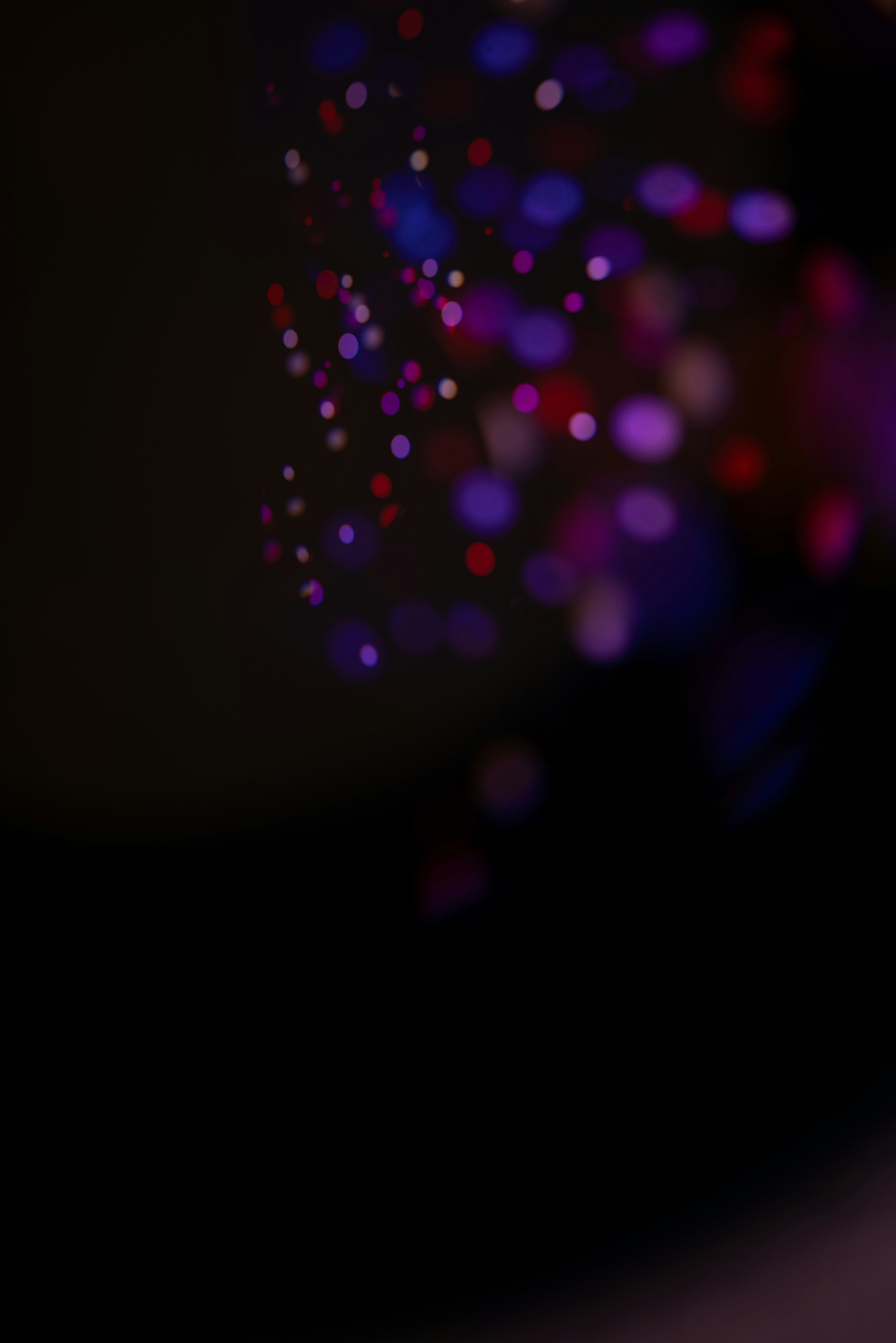 Photo by andrilliardbond