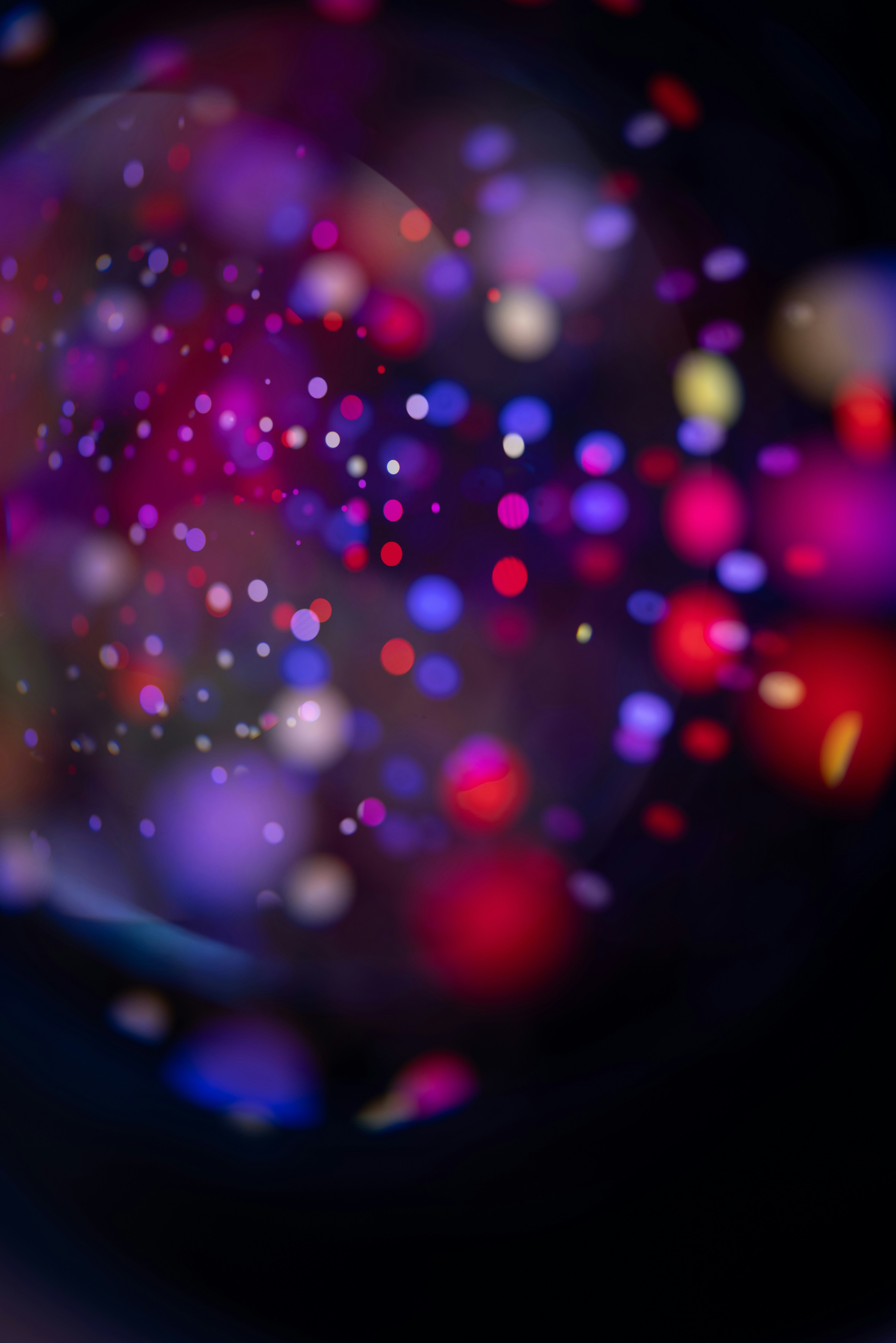 Photo by andrilliardbond