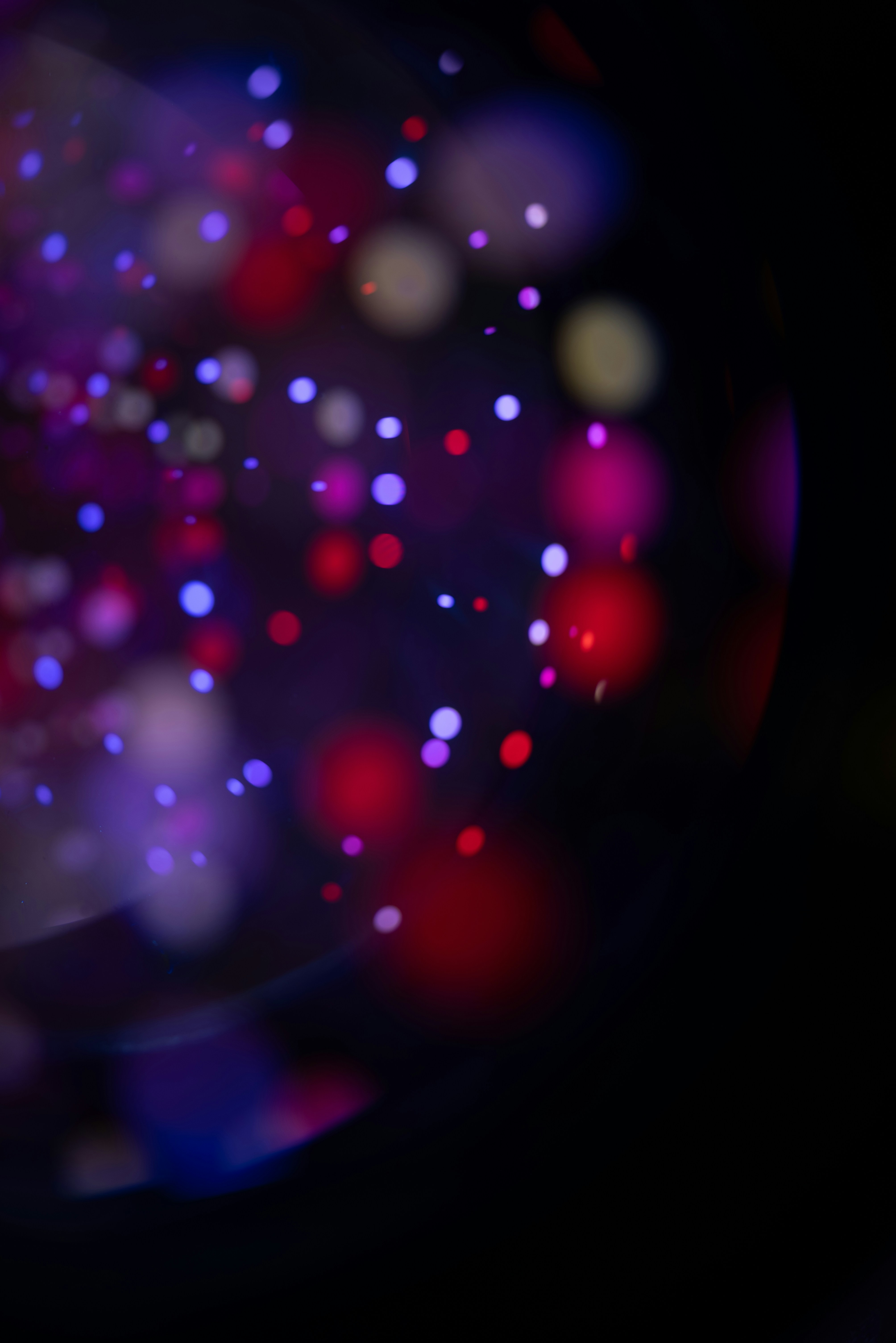 Photo by andrilliardbond