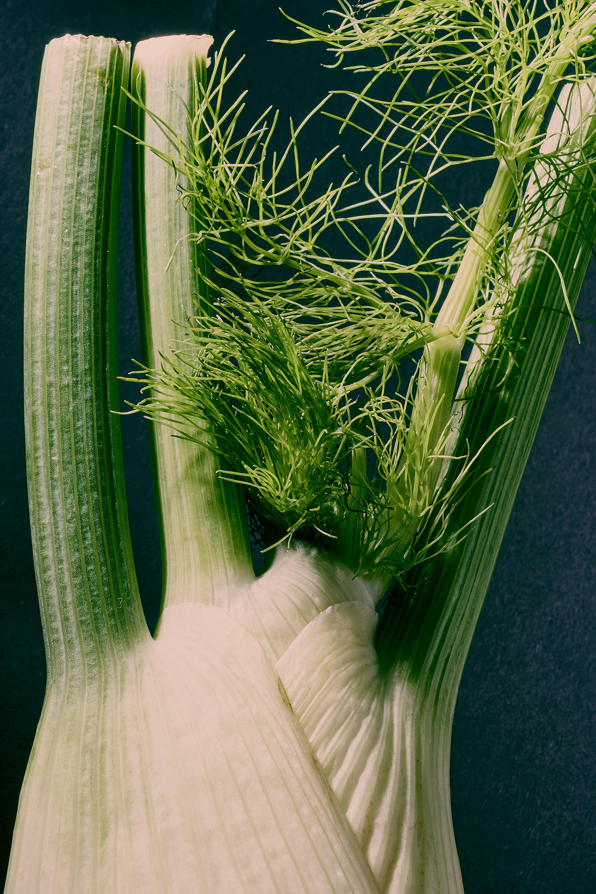 Photo by dennysachtleben