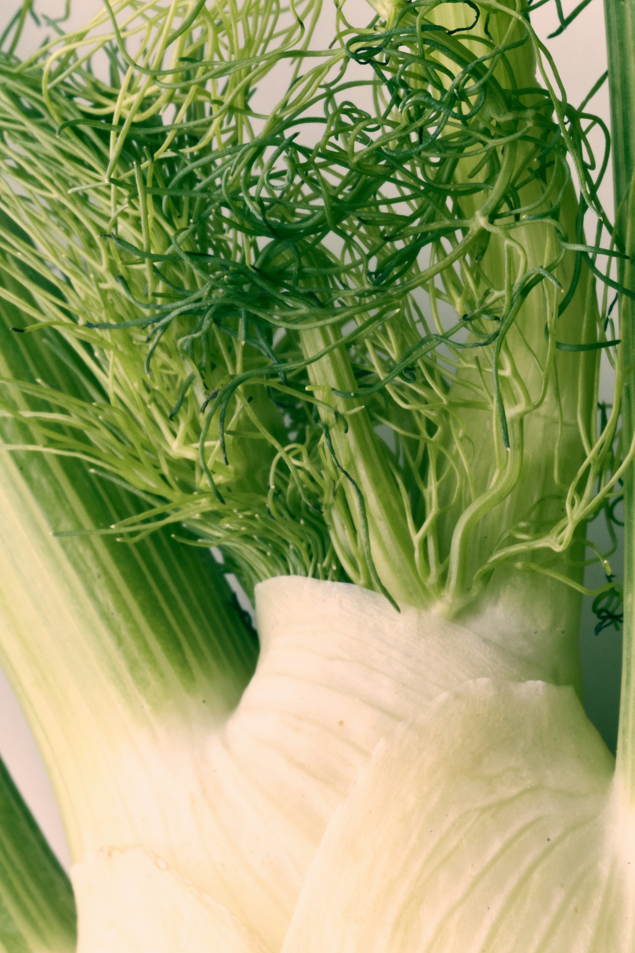 Close-up of hands gently preparing herbs with a mortar and pestle.