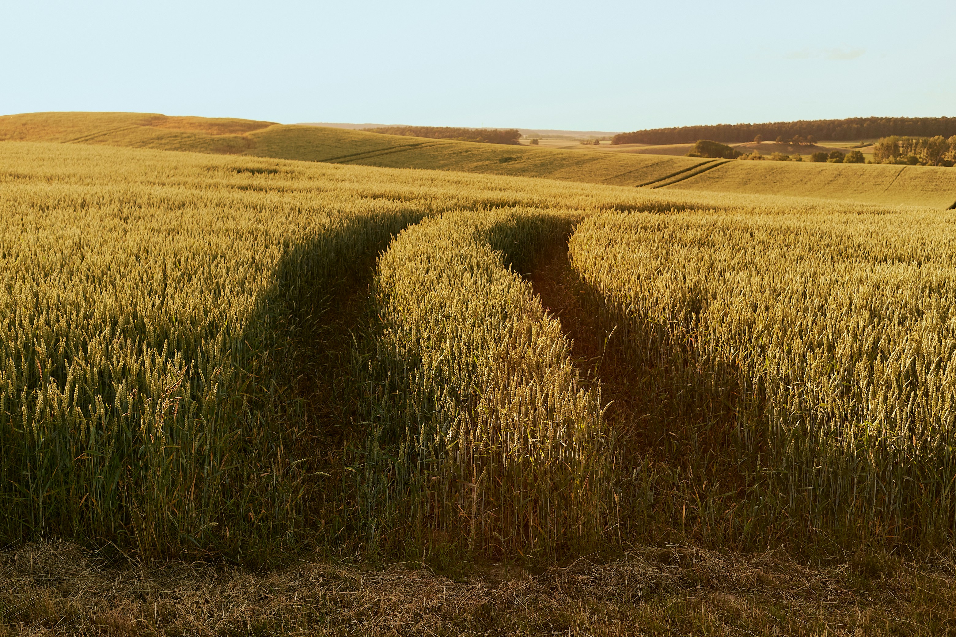 Photo by dennysachtleben