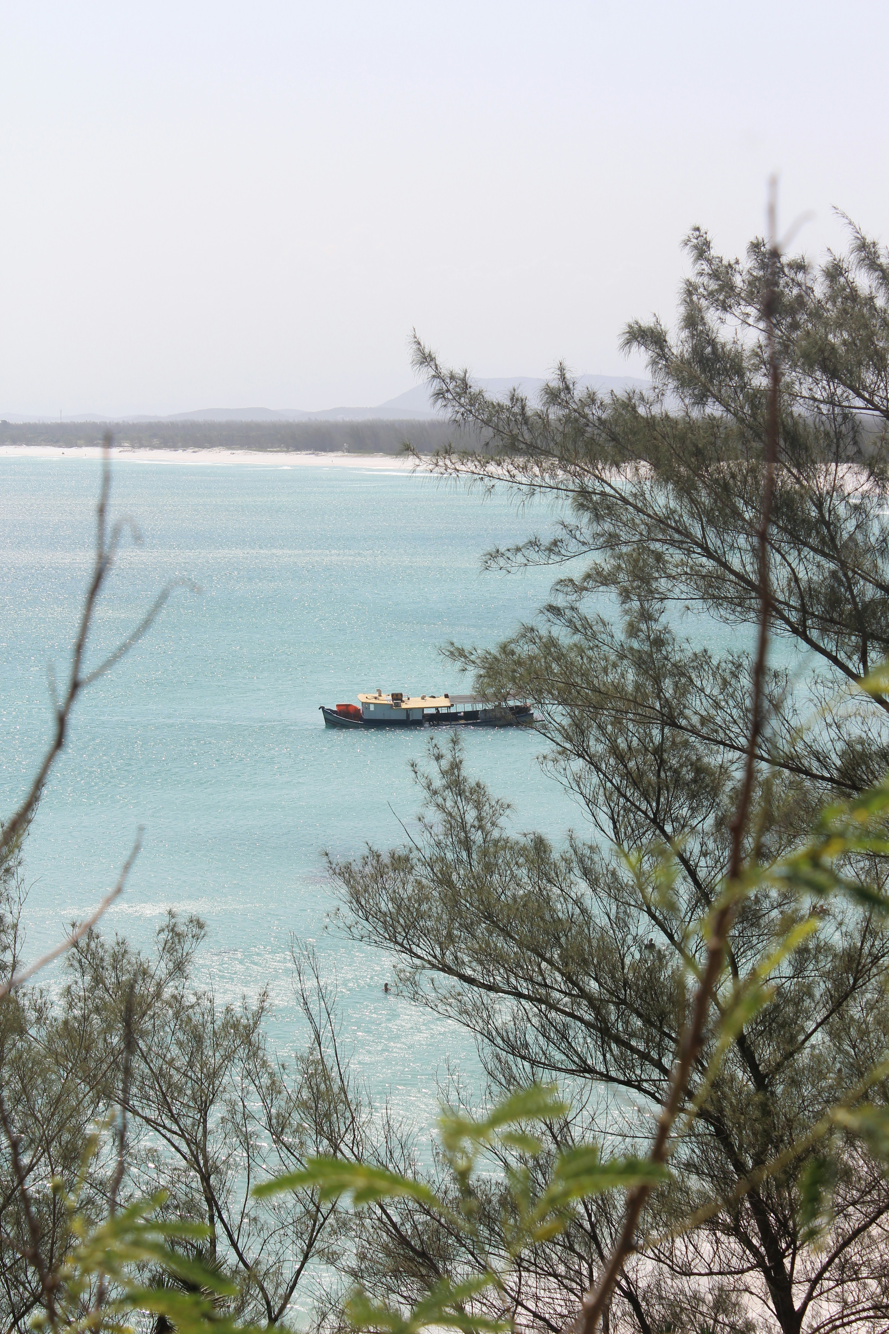 Photo by felipefersilva