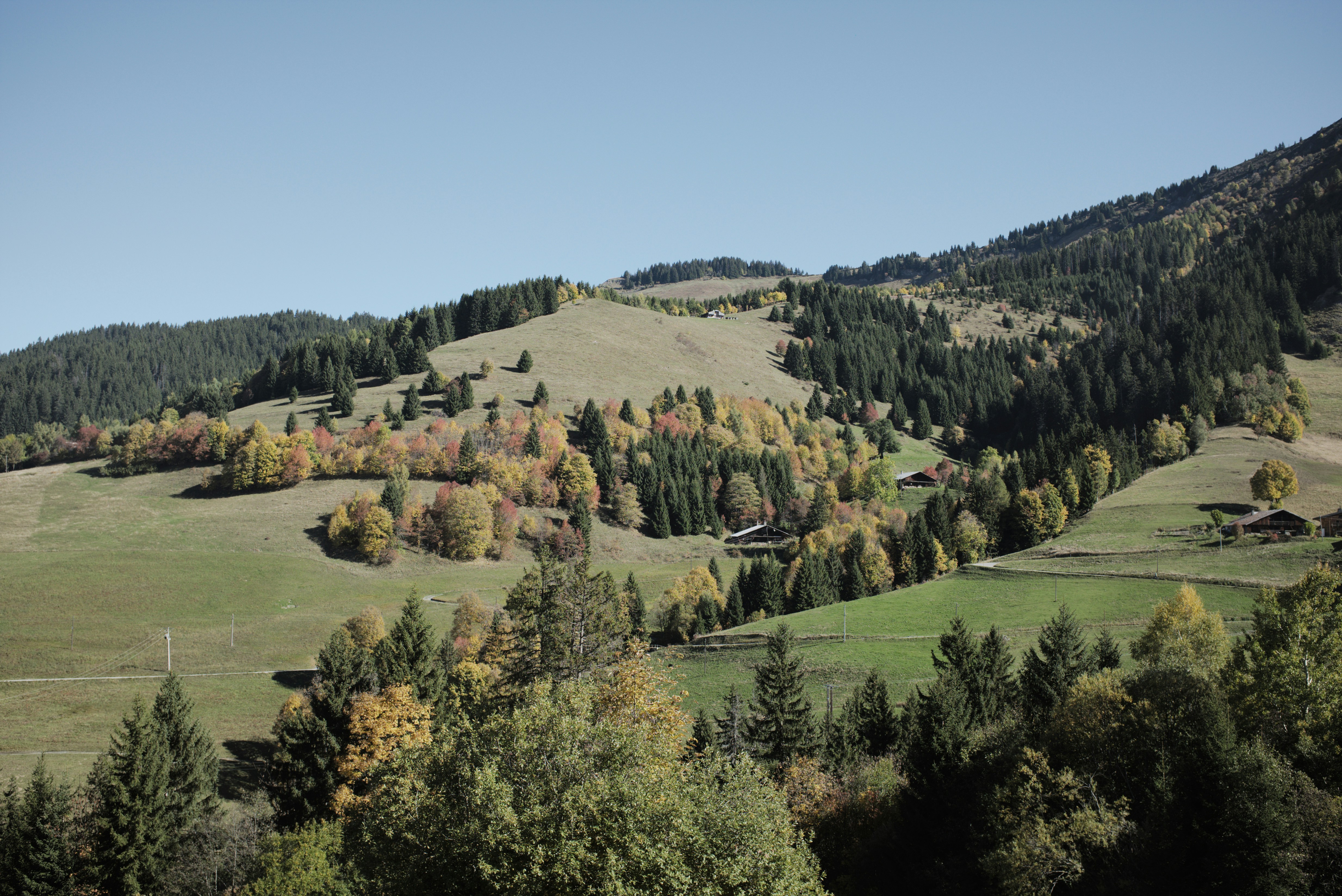 Photo by thomastygreat