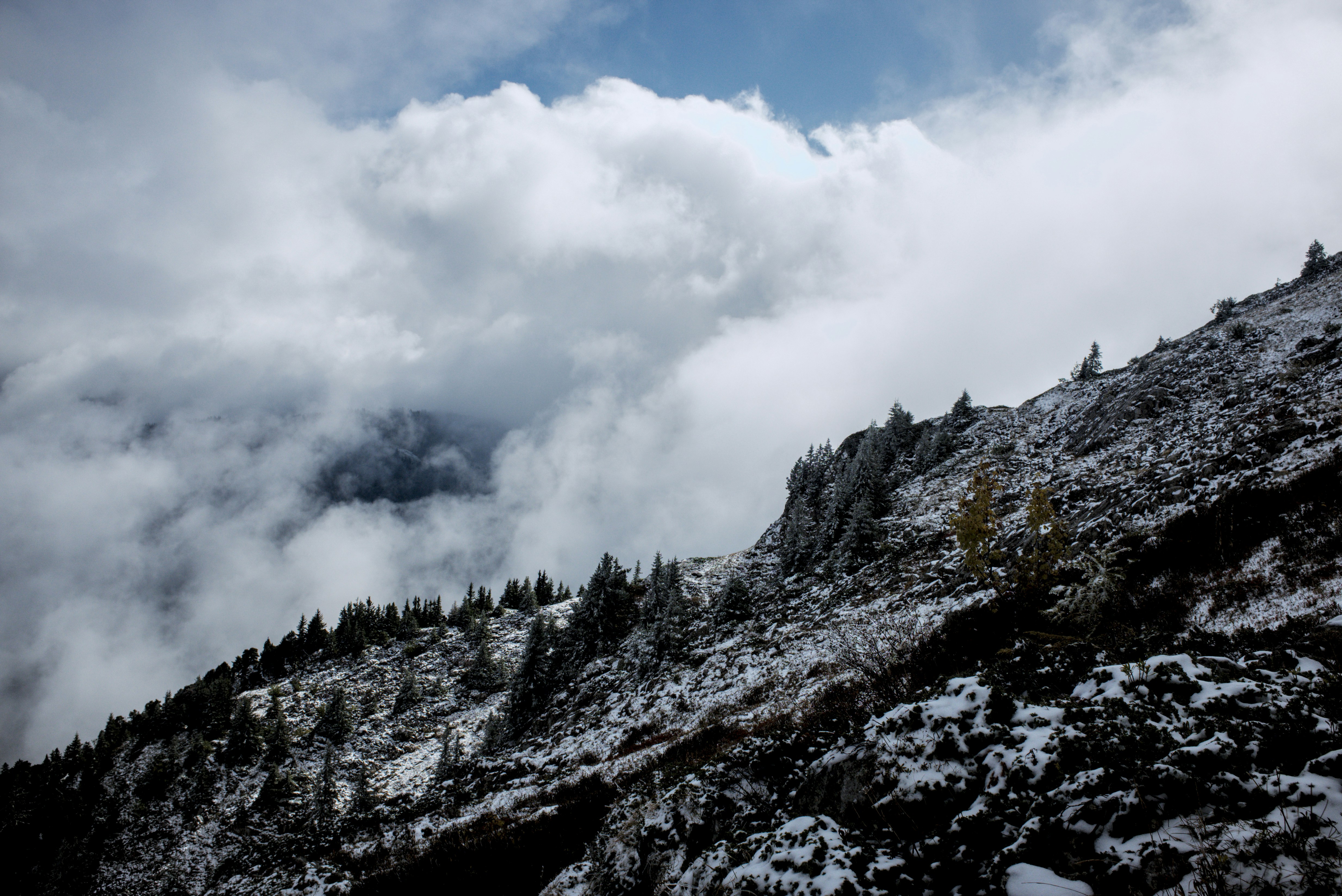 Photo by thomastygreat