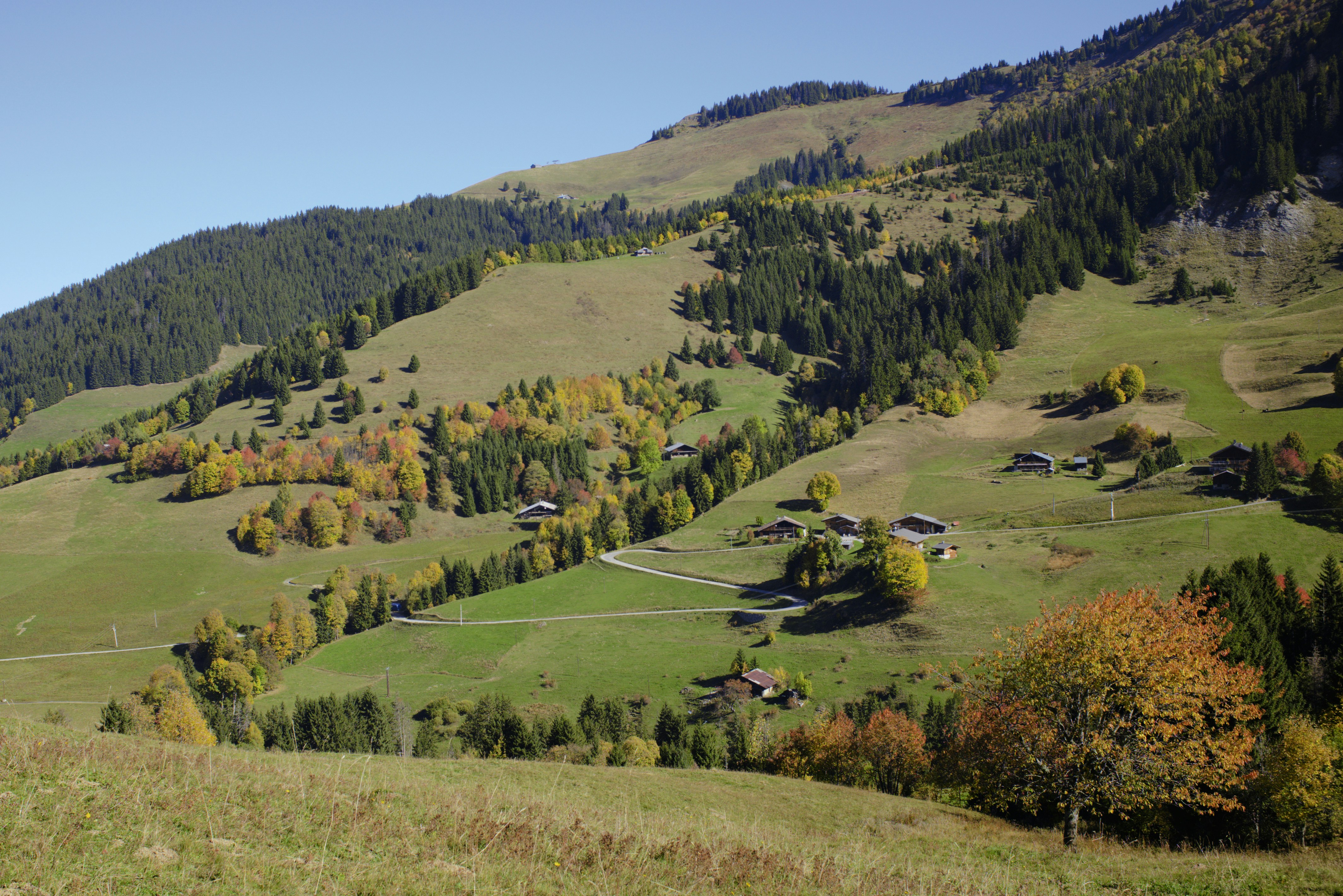 Photo by thomastygreat