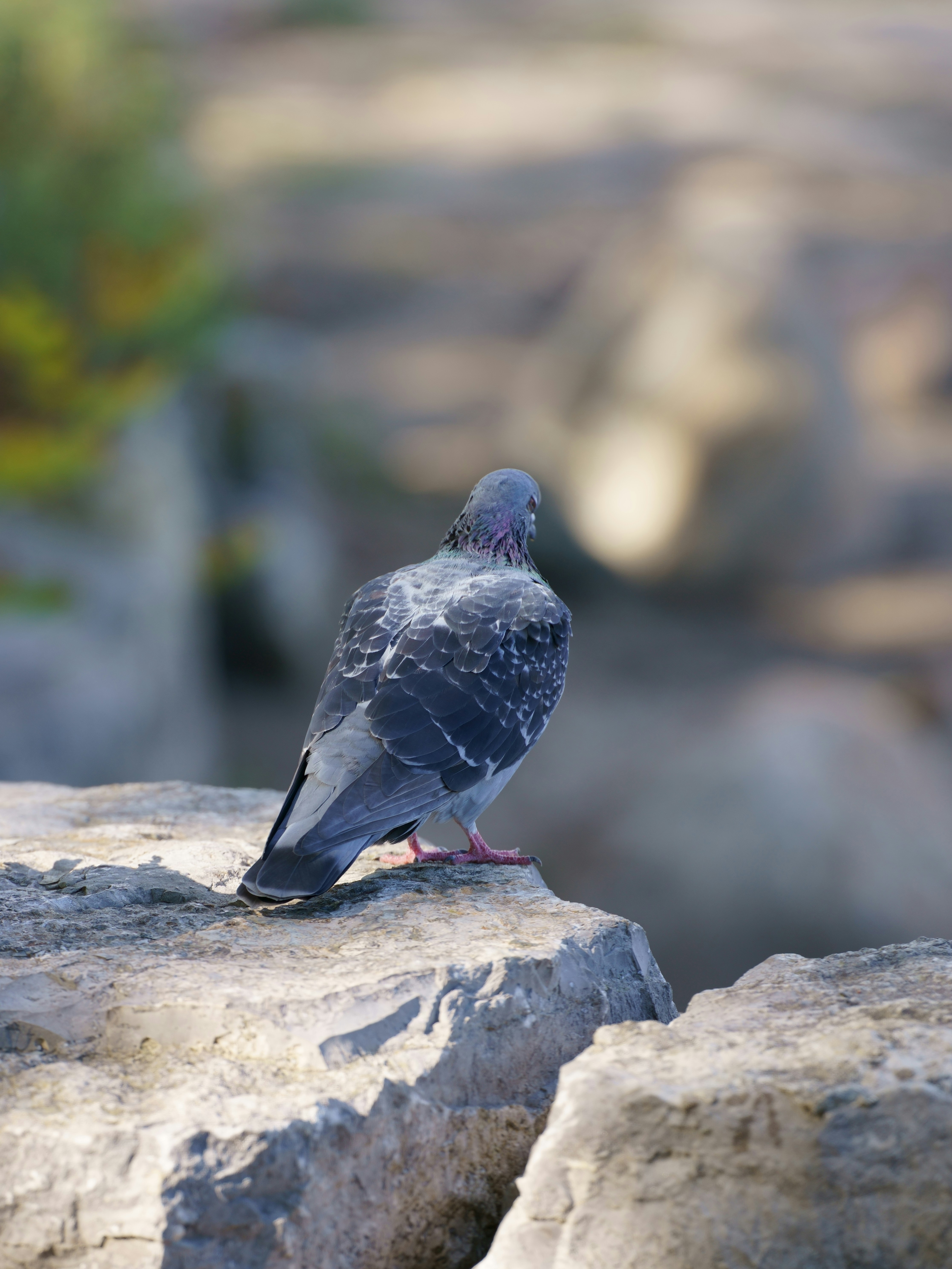 Photo by terrladennis