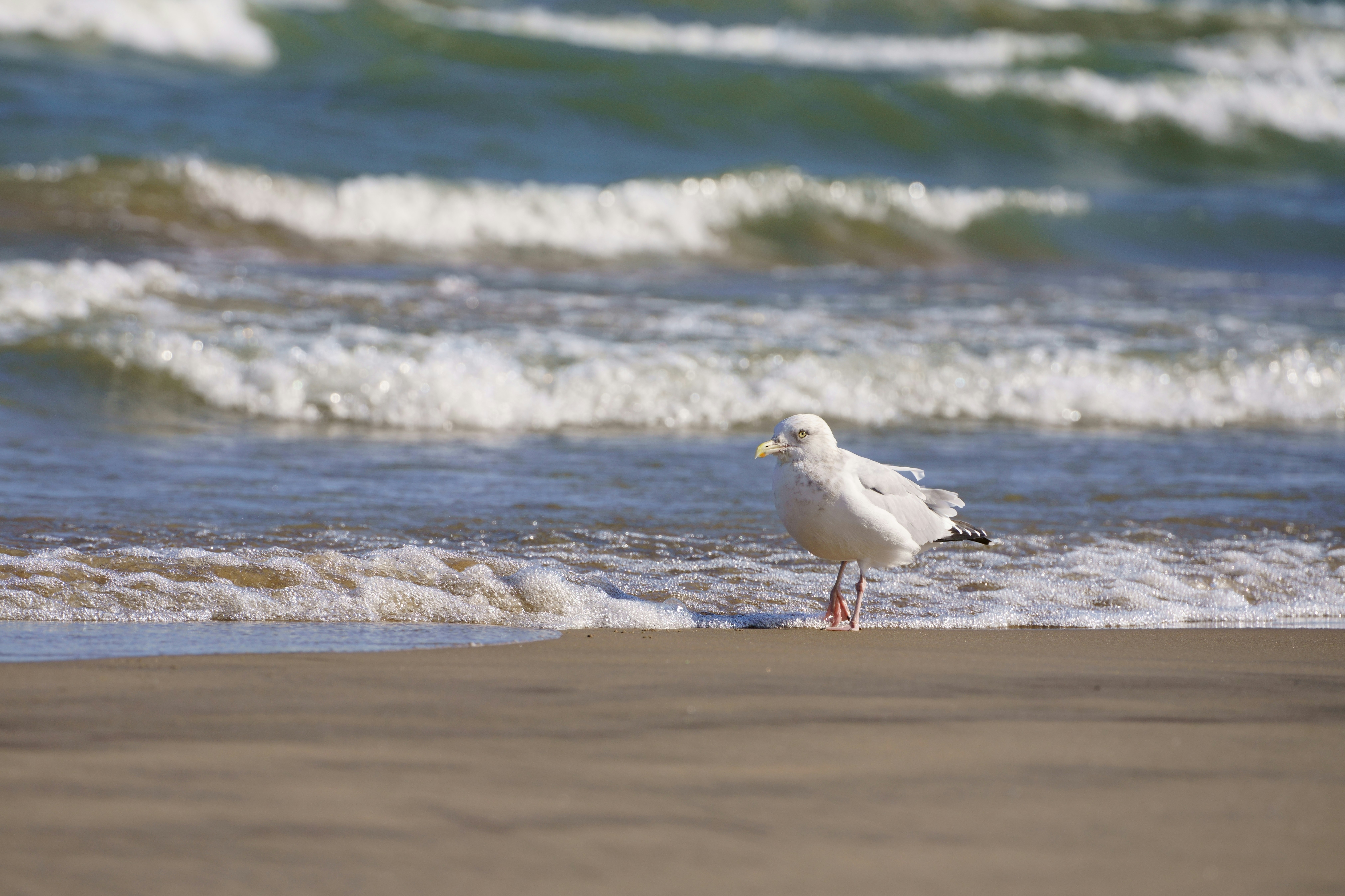 Photo by terrladennis