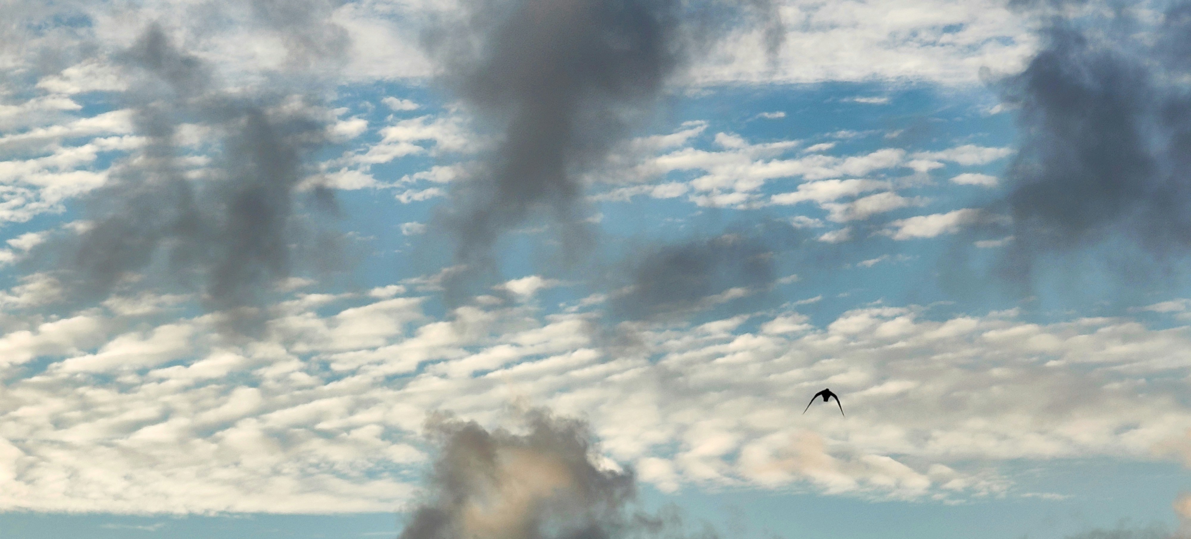 Photo by thomaskinto