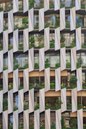 Modern building facade with many balconies and plants