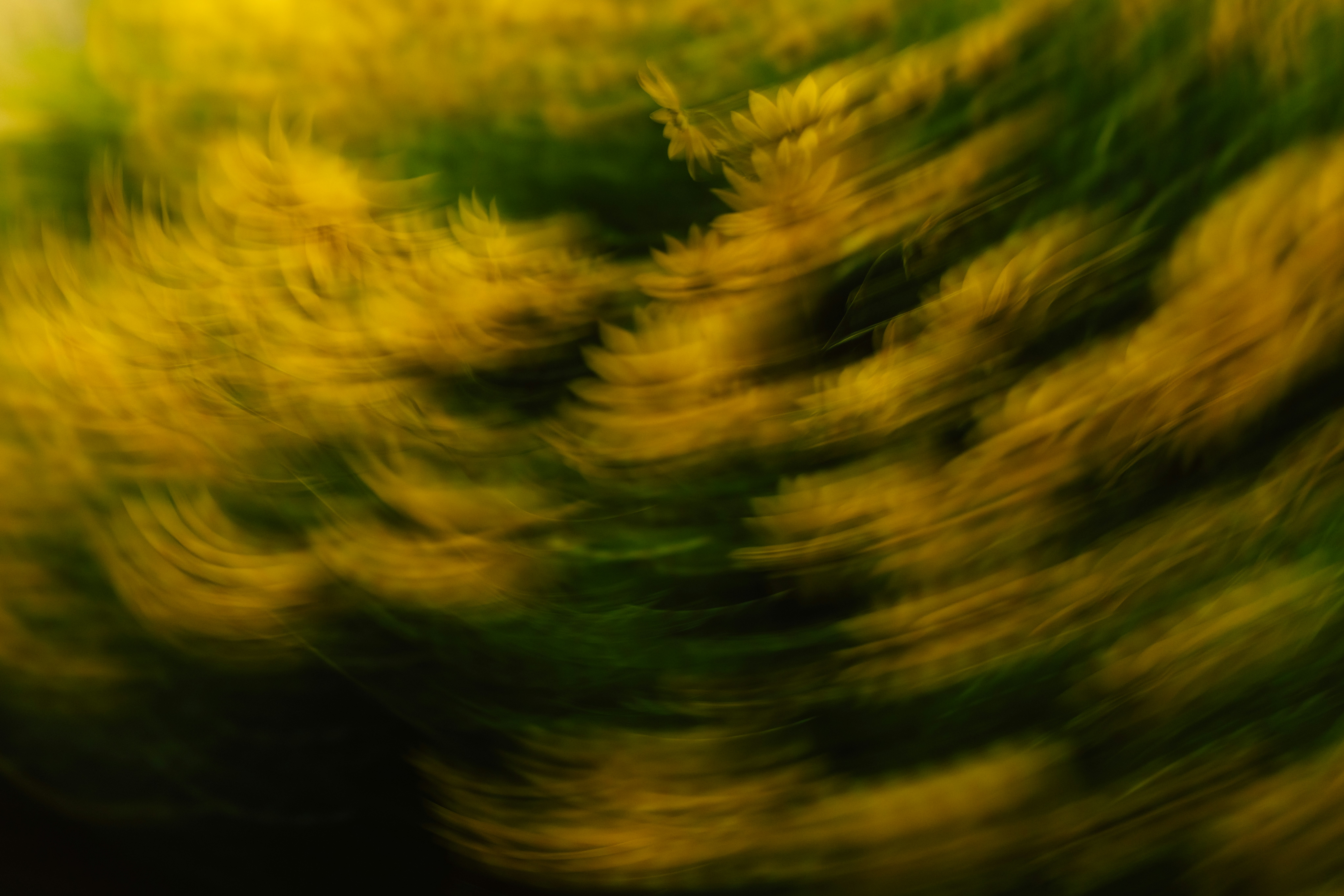 Photo by brookebalentine