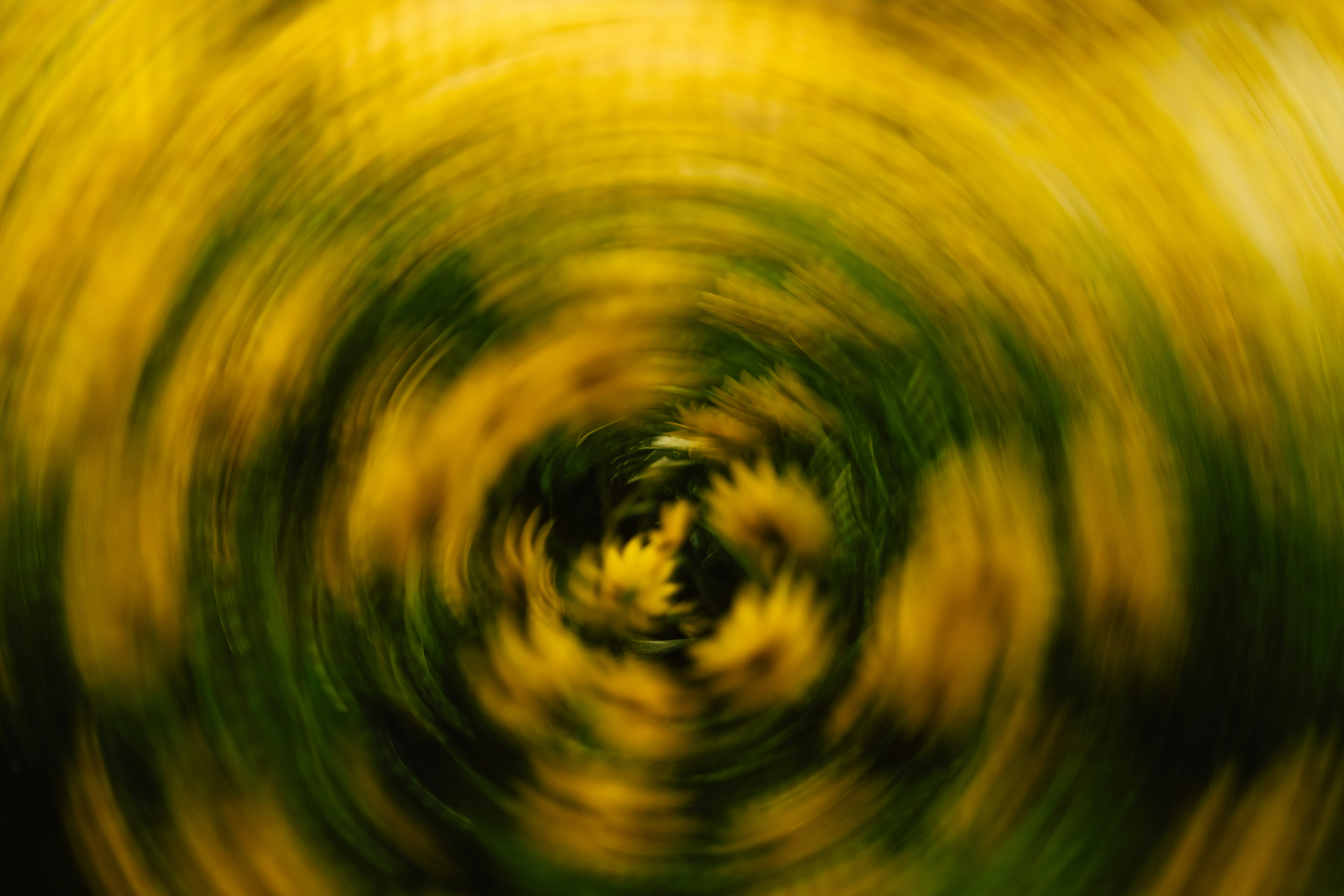 Photo by brookebalentine