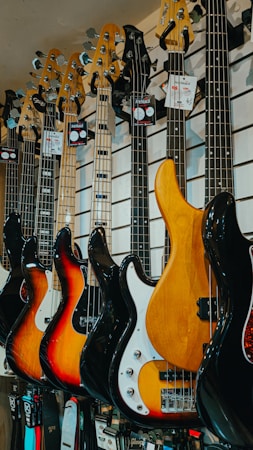 Basse électrique 6 cordes