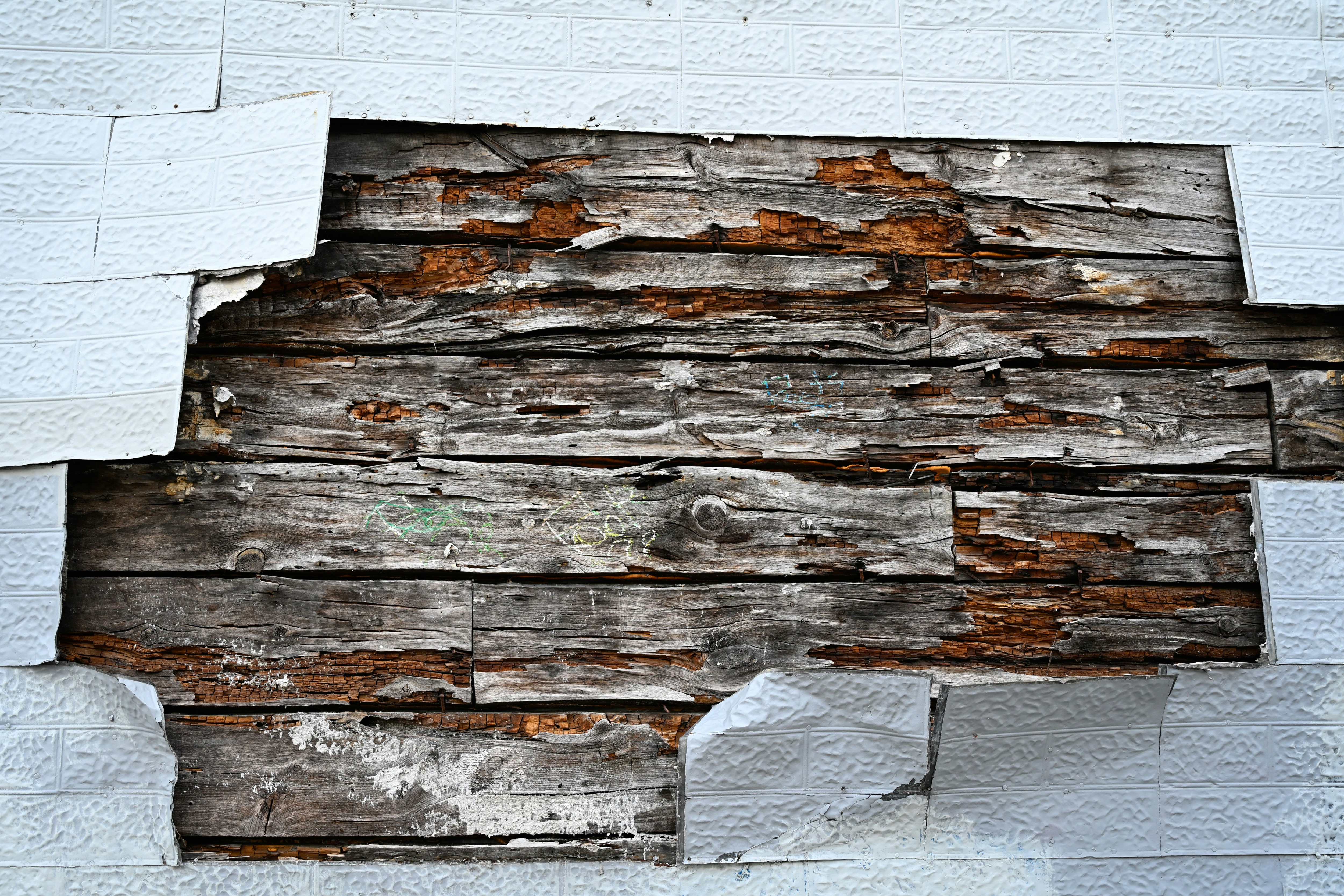 Photo by jonathankslim