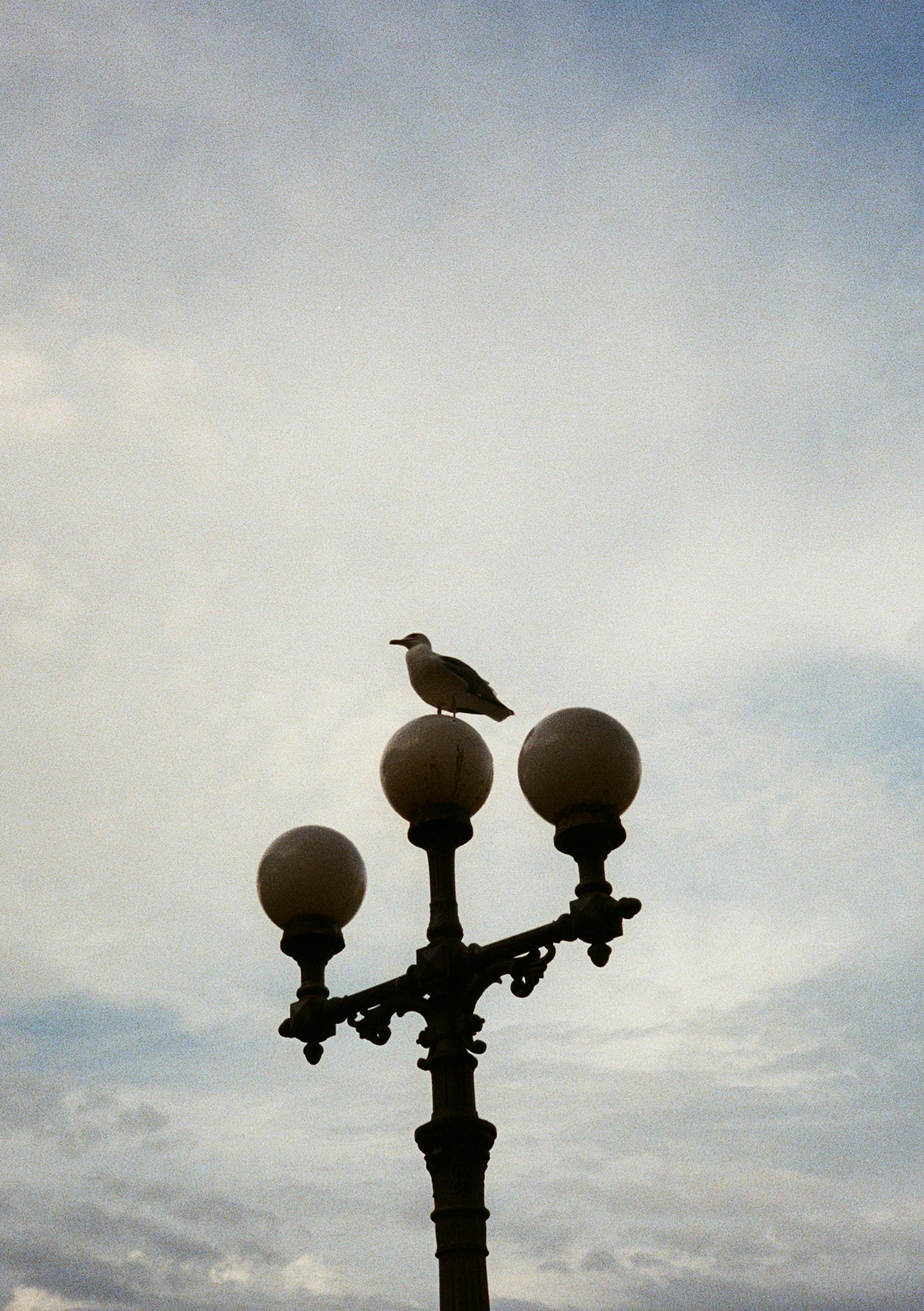 Photo by stachmann