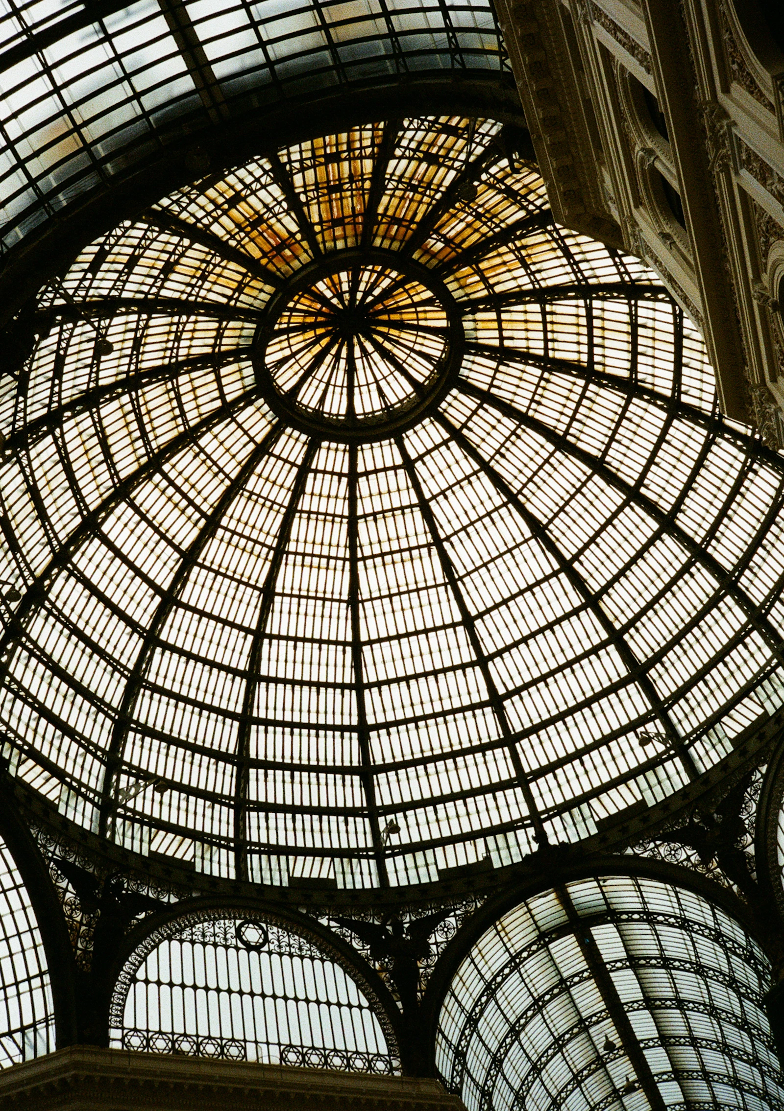 Glass dome ceiling with intricate metal framework