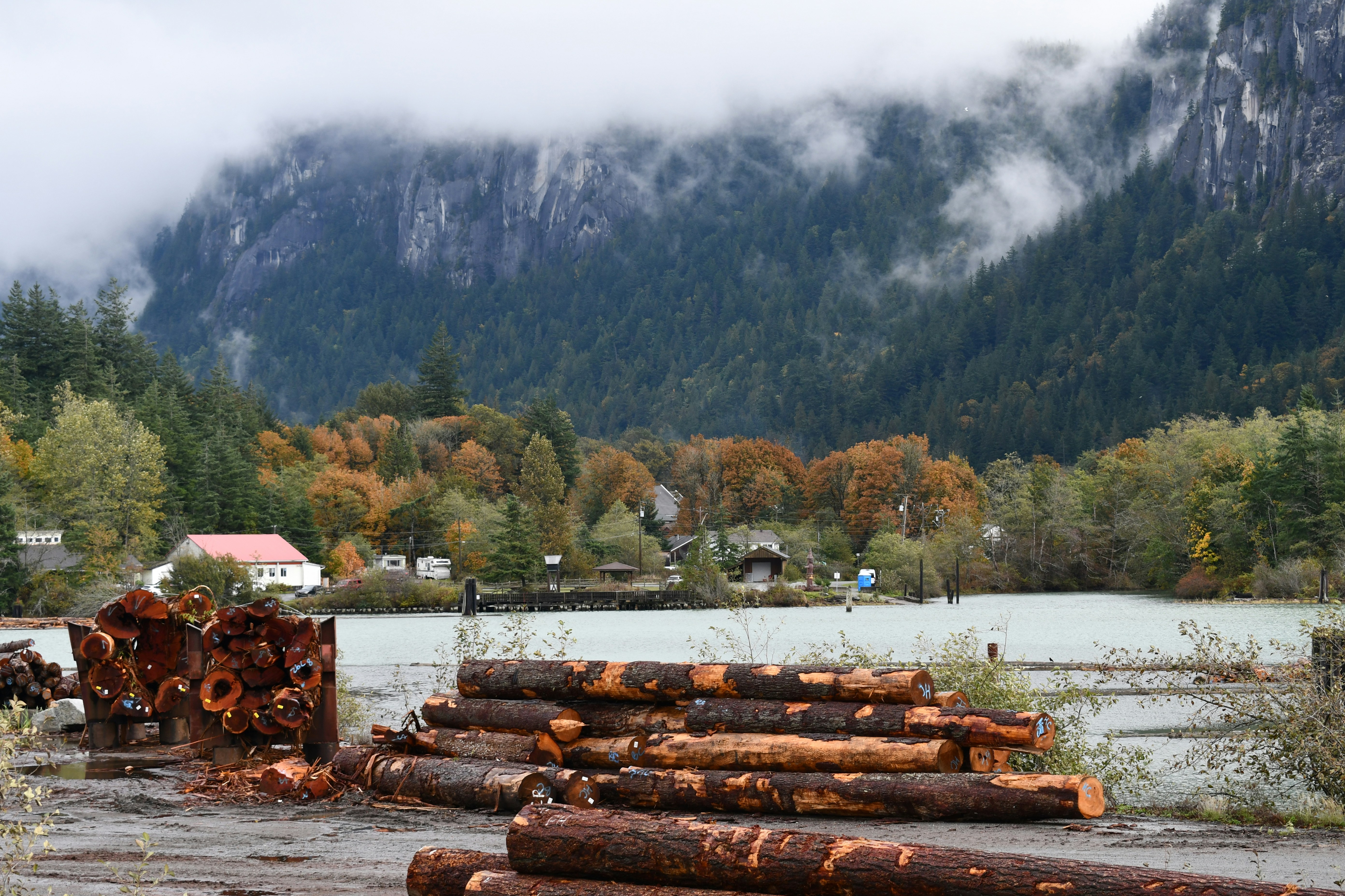 Baumstämme, die in der Nähe einer nebligen Berglandschaft gestapelt sind