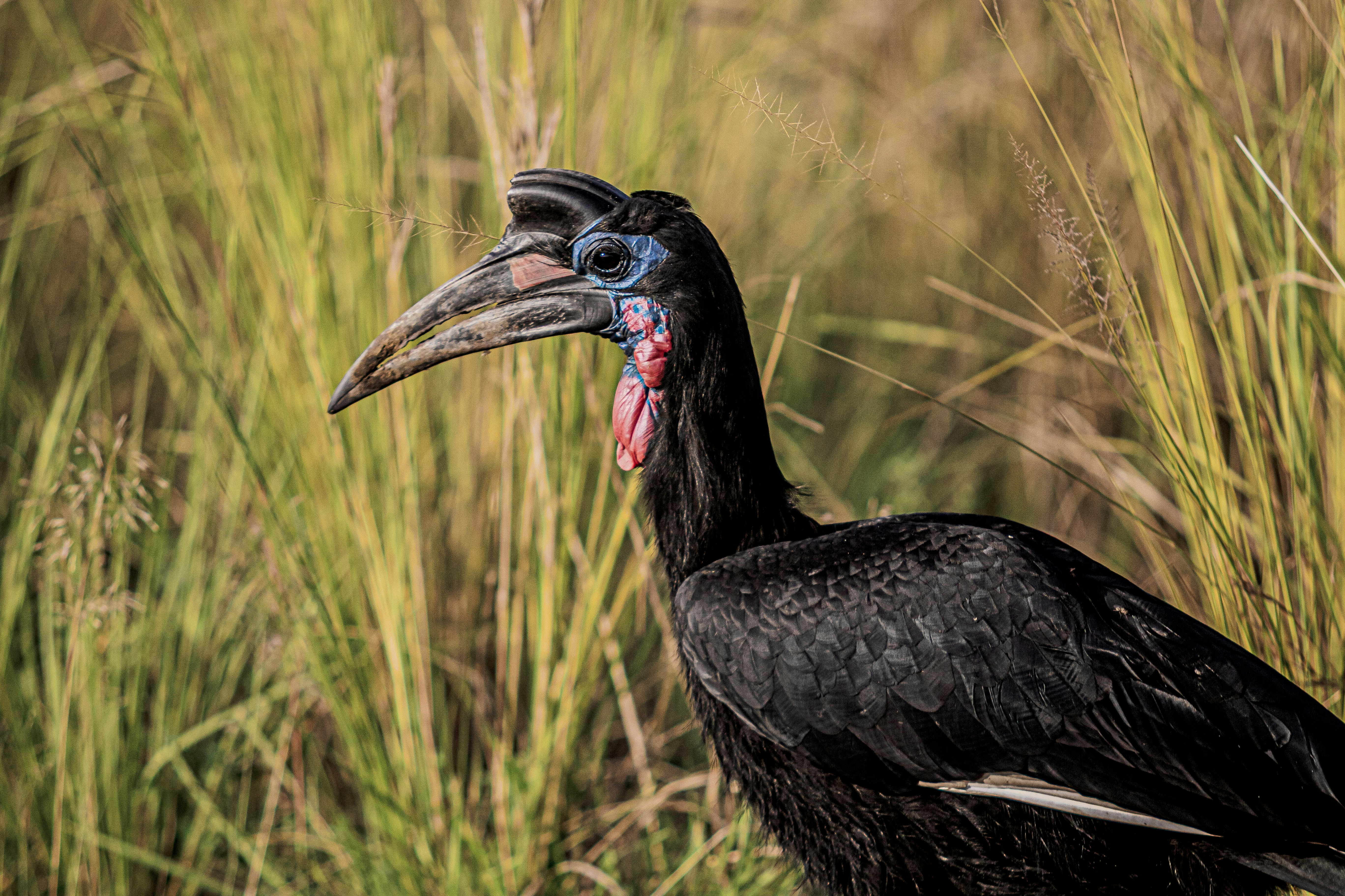 Photo by starkie_pics