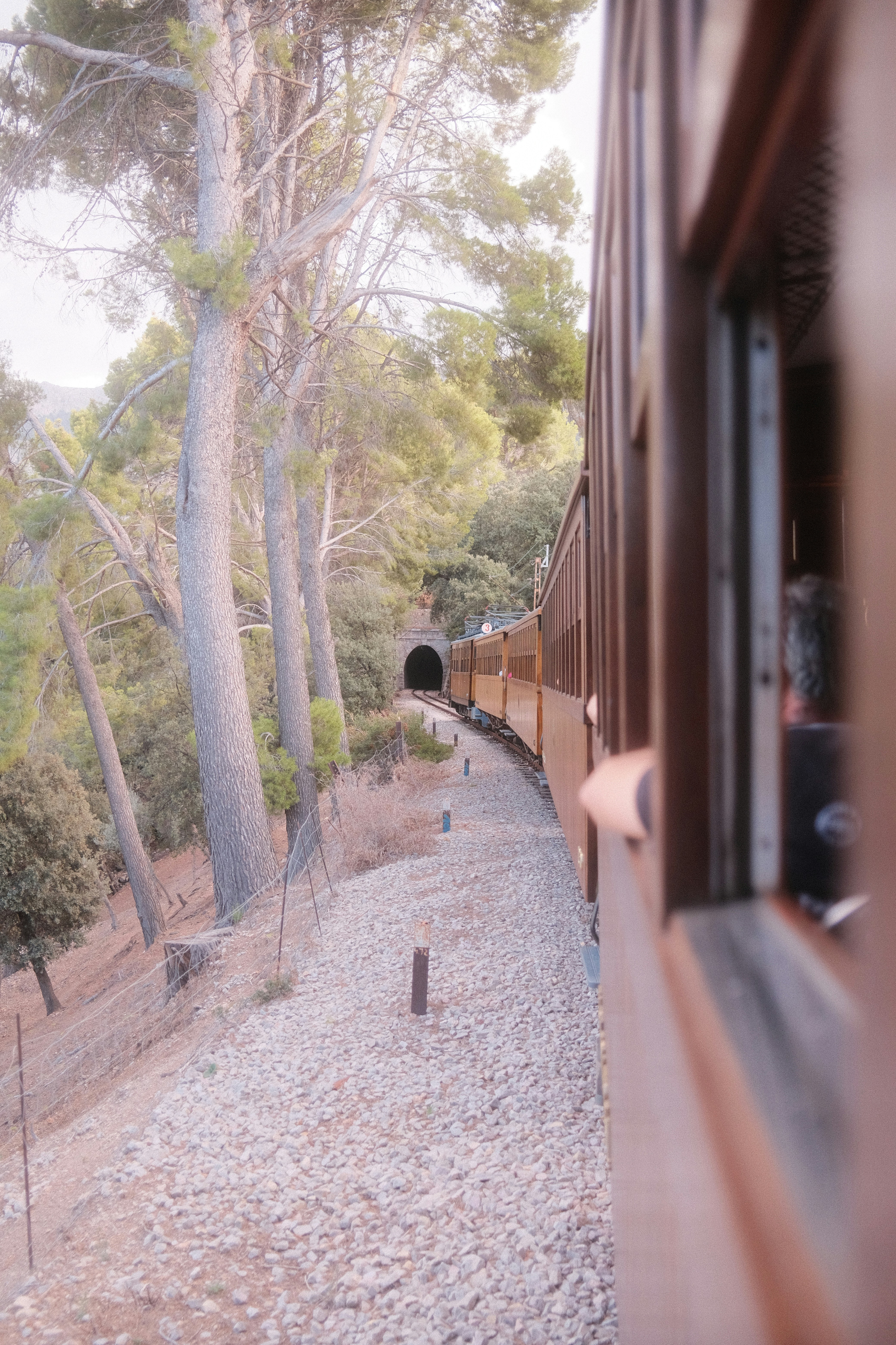 Zugfahrt durch einen Wald in Richtung eines Tunnels